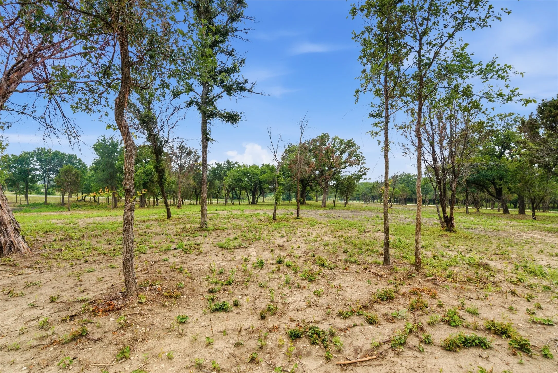 Single Family Residence For Sale in Erath County , 1070 Diamond Oaks Road, Stephenville, Texas 76401, 3 Bedroom, 2 Bathroom, 2 Garage spaces, 1,580 Sqft, built in 1999, mls#21255604, Real Estate Agent in Stephenville, Homes For Sale in Erath county, Homes For Sale in Stephenville, Realtor in Stephenville Texas, Real Estate Brokerage Independent Realty Texas, Luminita Cordes Realtor