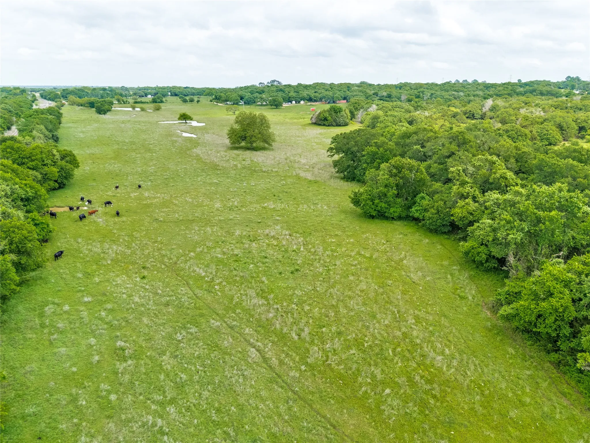 Farm For Sale in Johnson County , 2900 County Road 317, Cleburne, Texas 76031, 4 Bedroom, 4 Bathroom, Garage spaces, 5,224 Sqft, built in 2007, Price $1,150,000, mls#21256564, Real Estate Agent in Cleburne, Homes For Sale in Johnson county, Homes For Sale in Cleburne, Realtor in Cleburne Texas, Real Estate Brokerage Independent Realty Texas, Luminita Cordes Realtor
