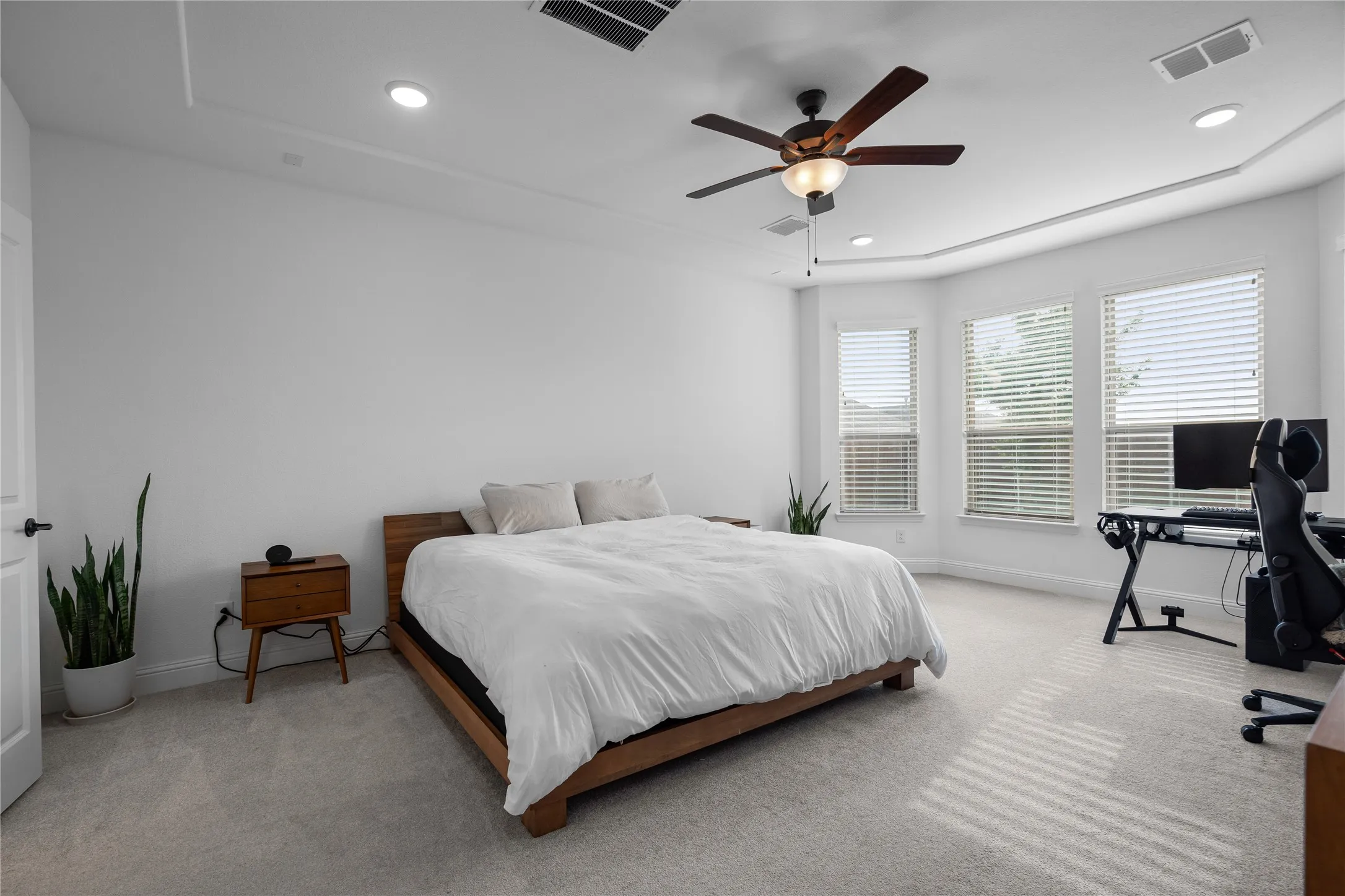 Upgraded Bay Windows in the Primary Suite & Tray Ceilings