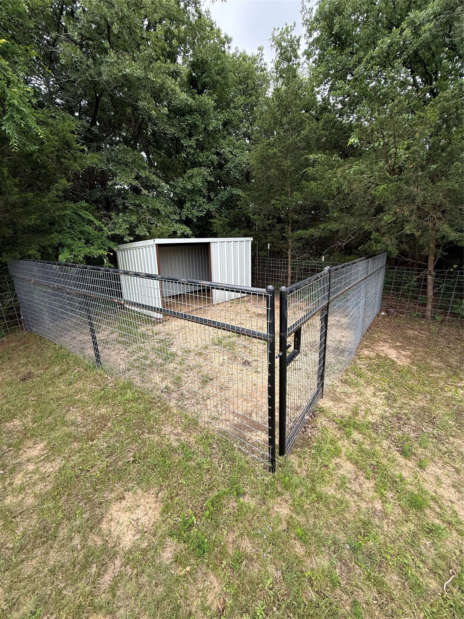 Pipe fenced paddock and loafing shed for medium or small animals