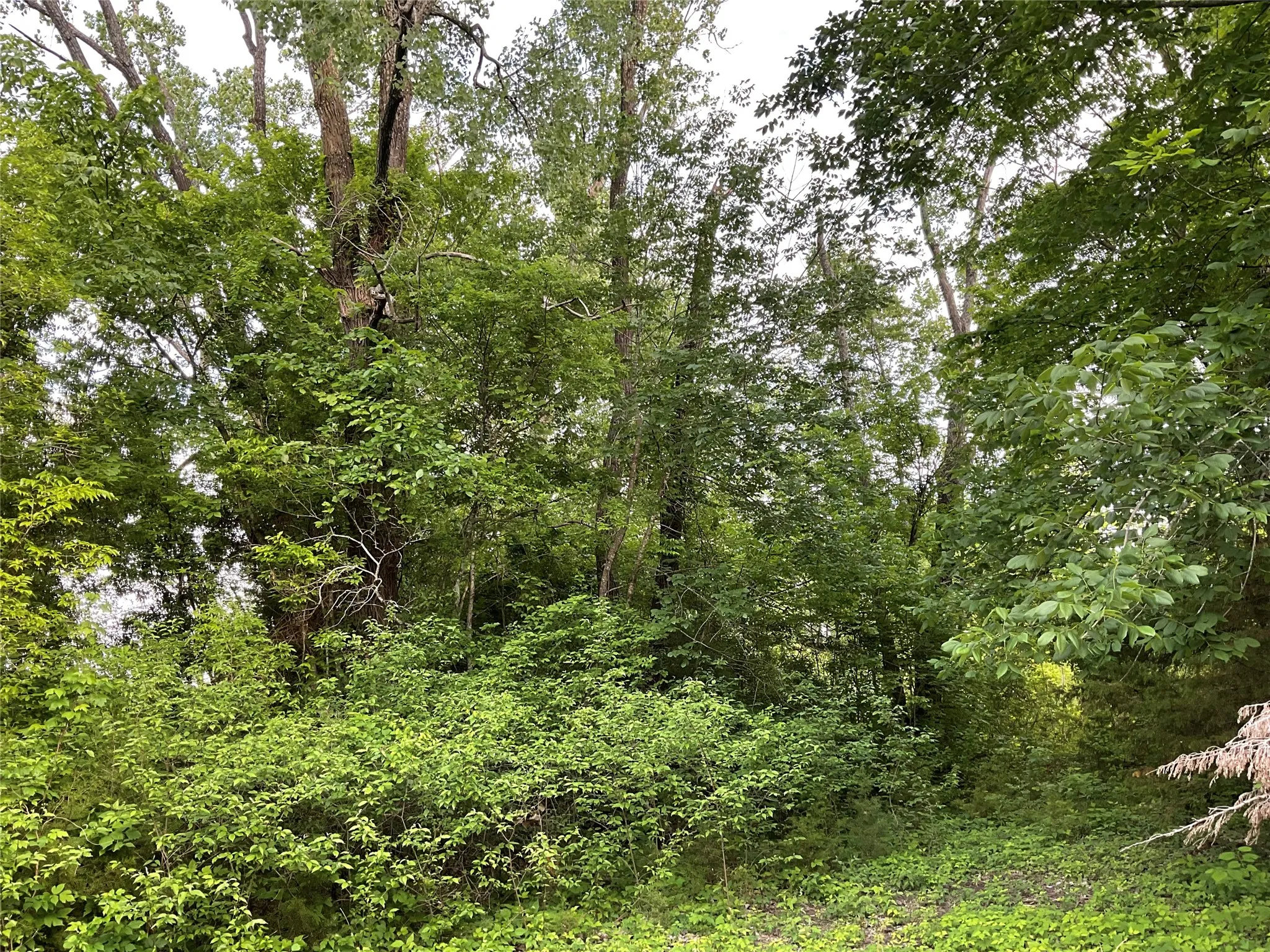 Improved Land For Sale in Collin County , 9994 Twin Creeks Circle, Anna, Texas 75409, 0, 0, Garage spaces, 0 Sqft, built in 1976, mls#21254558, Real Estate Agent in Anna, Homes For Sale in Collin county, Homes For Sale in Anna, Realtor in Anna Texas, Real Estate Brokerage Independent Realty Texas, Luminita Cordes Realtor