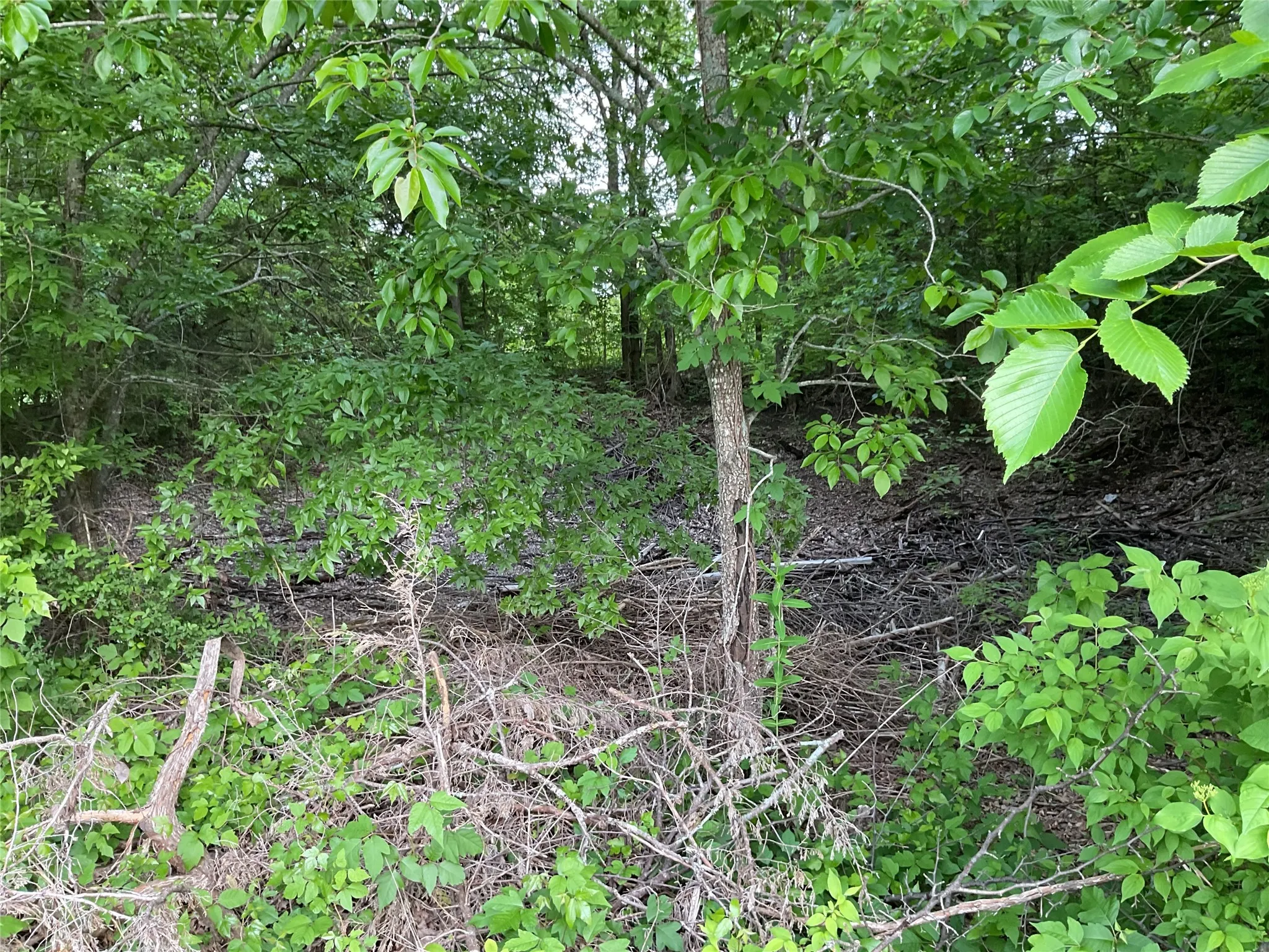 Improved Land For Sale in Collin County , 9994 Twin Creeks Circle, Anna, Texas 75409, 0, 0, Garage spaces, 0 Sqft, built in 1976, mls#21254558, Real Estate Agent in Anna, Homes For Sale in Collin county, Homes For Sale in Anna, Realtor in Anna Texas, Real Estate Brokerage Independent Realty Texas, Luminita Cordes Realtor