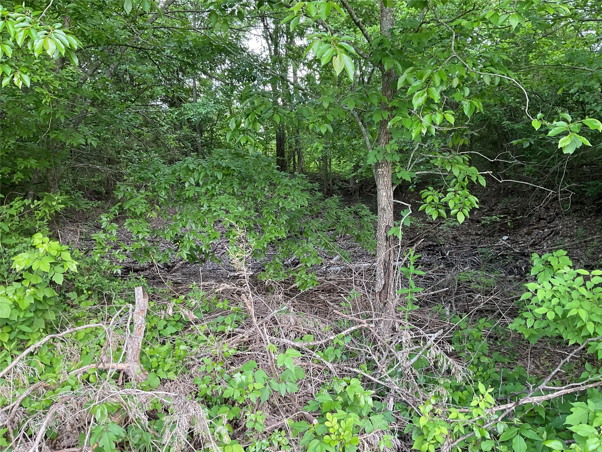 Improved Land For Sale in Collin County , 9994 Twin Creeks Circle, Anna, Texas 75409, 0, 0, Garage spaces, 0 Sqft, built in 1976, mls#21254558, Real Estate Agent in Anna, Homes For Sale in Collin county, Homes For Sale in Anna, Realtor in Anna Texas, Real Estate Brokerage Independent Realty Texas, Luminita Cordes Realtor