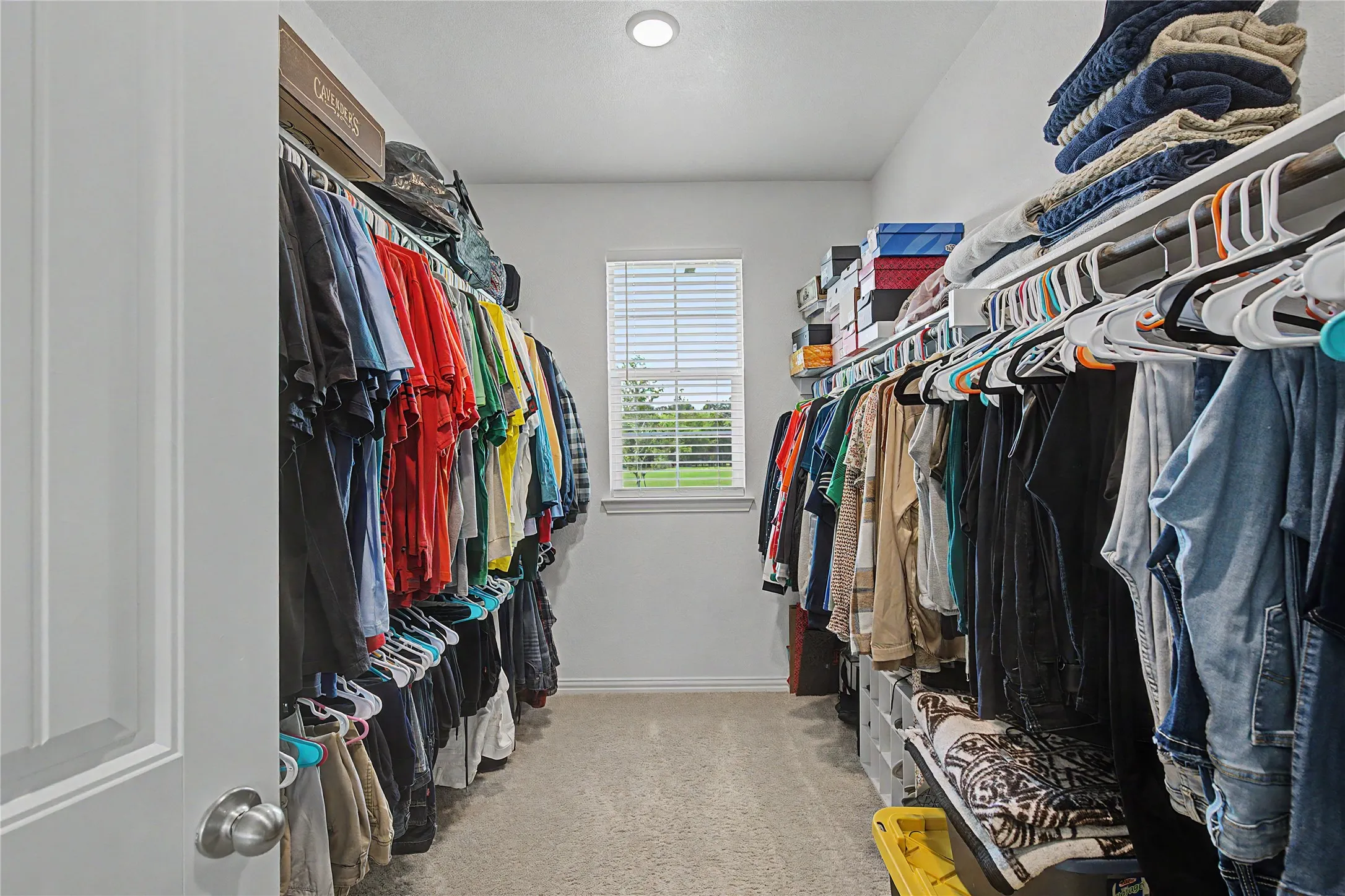 Walk-in closet featuring built-in shelving, hanging rods, recessed lighting, a window with blinds, and carpet flooring