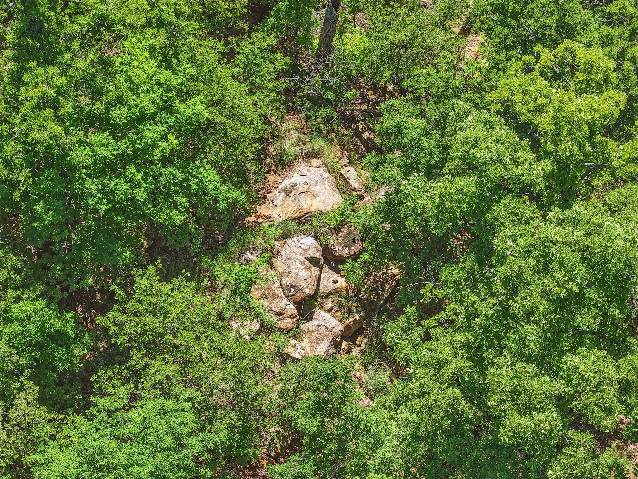 Unimproved Land For Sale in Wise County , Lot 399 Sunset Bay Drive, Chico, Texas 76431, 0, 0, Garage spaces, 0 Sqft, built in 0, Price $115,000, mls#21257070, Real Estate Agent in Chico, Homes For Sale in Wise county, Homes For Sale in Chico, Realtor in Chico Texas, Real Estate Brokerage Independent Realty Texas, Luminita Cordes Realtor