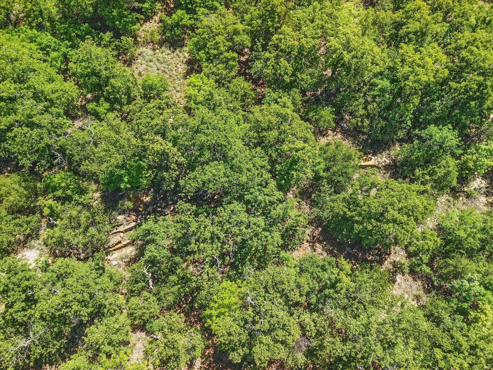 Unimproved Land For Sale in Wise County , Lot 399 Sunset Bay Drive, Chico, Texas 76431, 0, 0, Garage spaces, 0 Sqft, built in 0, Price $115,000, mls#21257070, Real Estate Agent in Chico, Homes For Sale in Wise county, Homes For Sale in Chico, Realtor in Chico Texas, Real Estate Brokerage Independent Realty Texas, Luminita Cordes Realtor