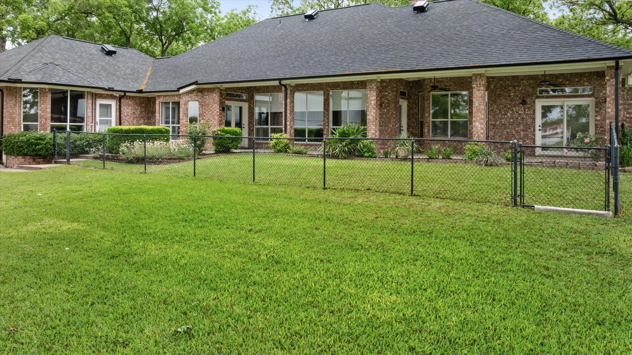 Back yard
