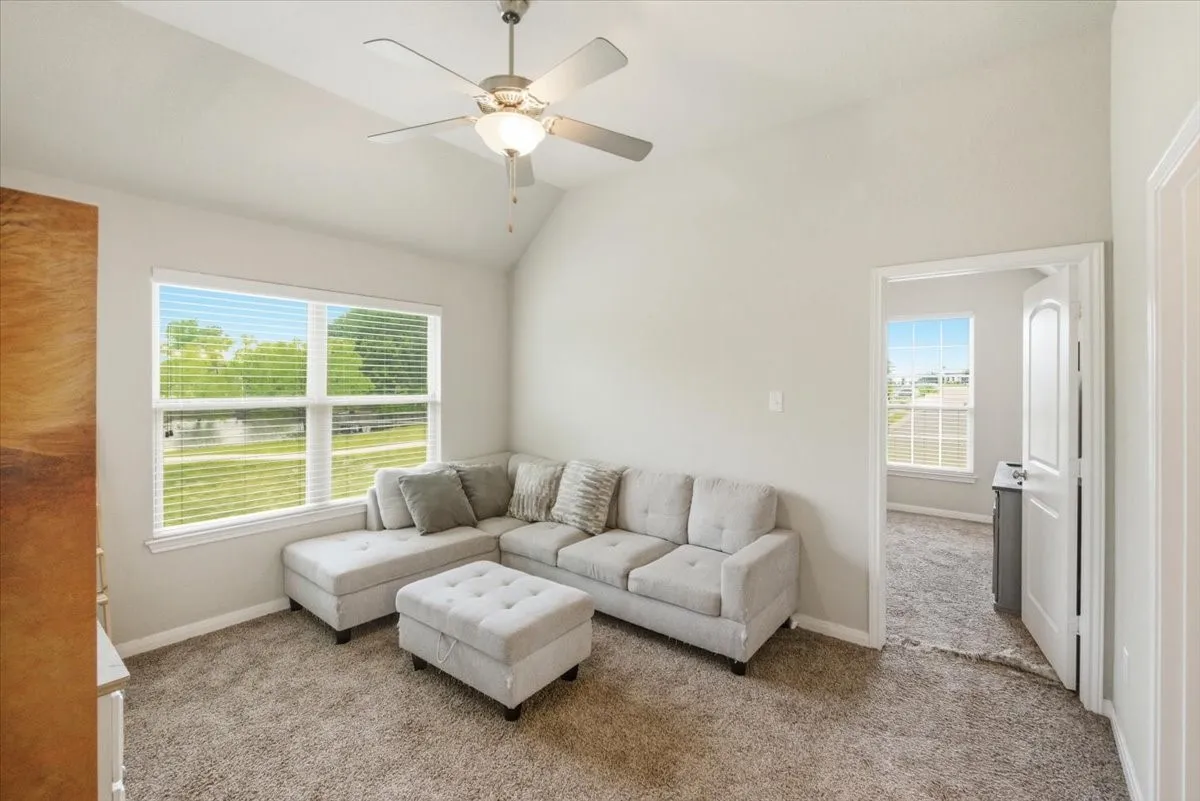 Second living area featuring a ceiling fan, carpet, and lofted ceiling