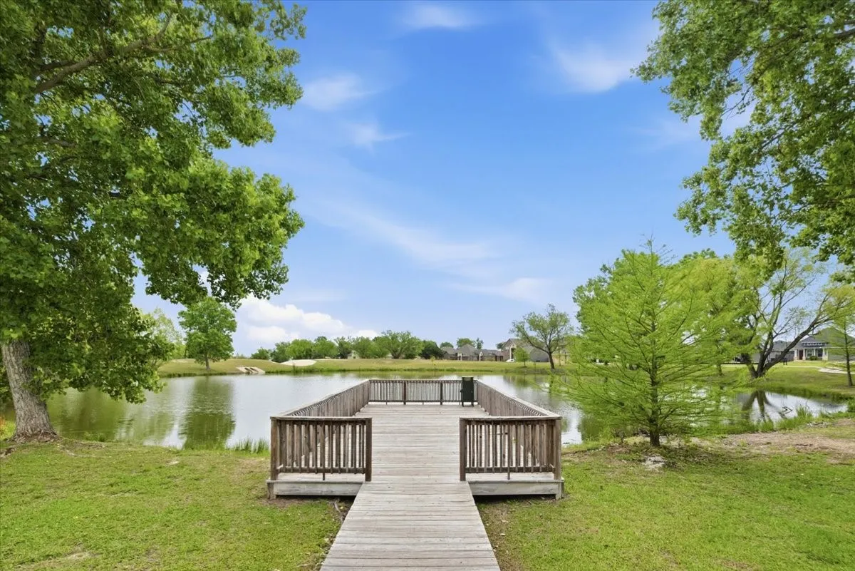 Community dock on the pond