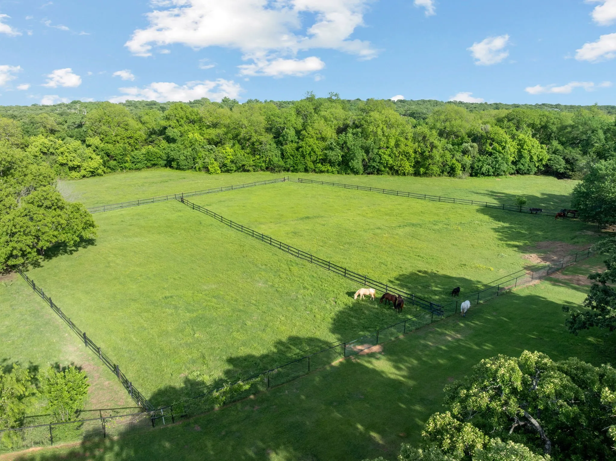 Farm For Sale in Johnson County , 9345 County Road 519, Alvarado, Texas 76009, 6 Bedroom, 7 Bathroom, 4 Garage spaces, 4,264 Sqft, built in 2000, mls#21256688, Real Estate Agent in Alvarado, Homes For Sale in Johnson county, Homes For Sale in Alvarado, Realtor in Alvarado Texas, Real Estate Brokerage Independent Realty Texas, Luminita Cordes Realtor