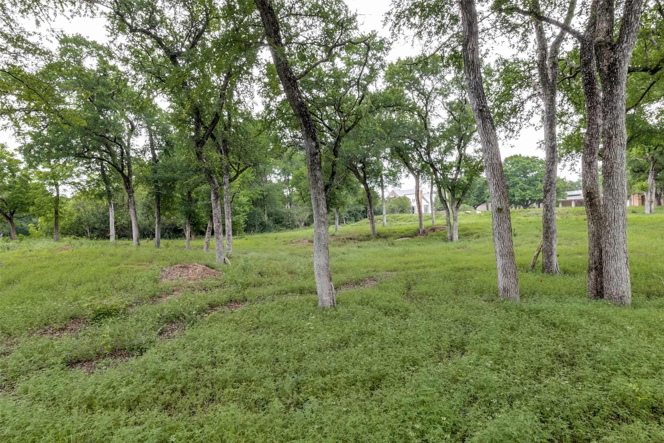 Improved Land For Sale in Dallas County , 10011 Surrey Oaks Drive, Dallas, Texas 75229, 0, 0, Garage spaces, 0 Sqft, built in 0, Price $3,995,000, mls#21256861, Real Estate Agent in Dallas, Homes For Sale in Dallas county, Homes For Sale in Dallas, Realtor in Dallas Texas, Real Estate Brokerage Independent Realty Texas, Luminita Cordes Realtor