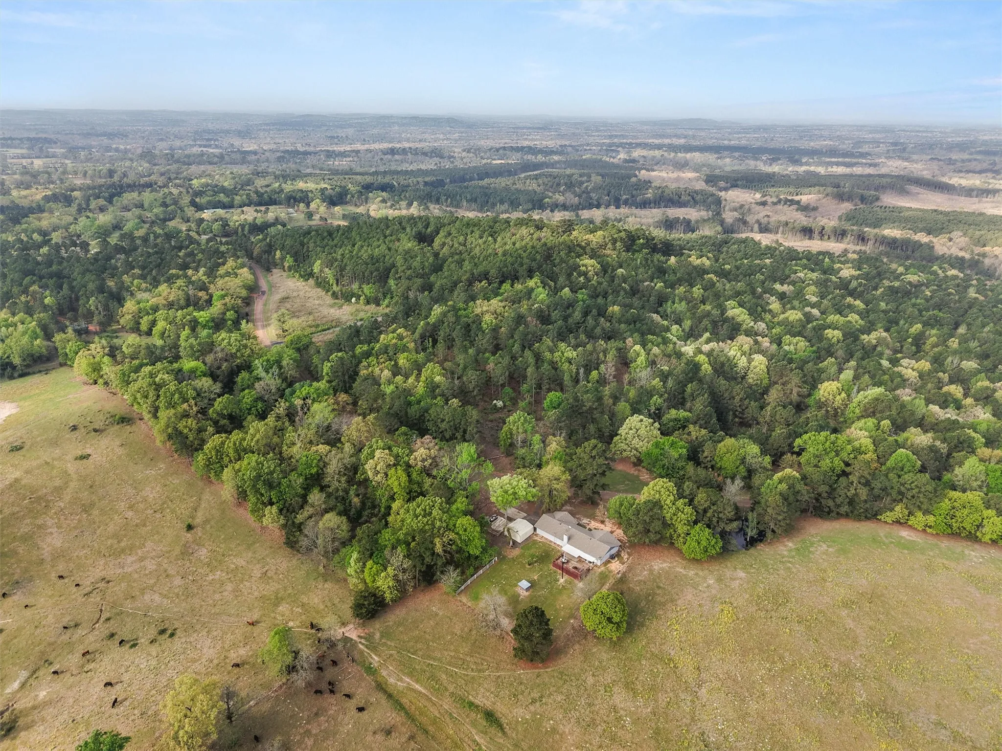 Farm For Sale in Morris County , 571 County Road, Daingerfield, Texas 75638, 3 Bedroom, 3 Bathroom, Garage spaces, 2,378 Sqft, built in 1979, Preowned, mls#21257348, Real Estate Agent in Daingerfield, Homes For Sale in Morris county, Homes For Sale in Daingerfield, Realtor in Daingerfield Texas, Real Estate Brokerage Independent Realty Texas, Luminita Cordes Realtor