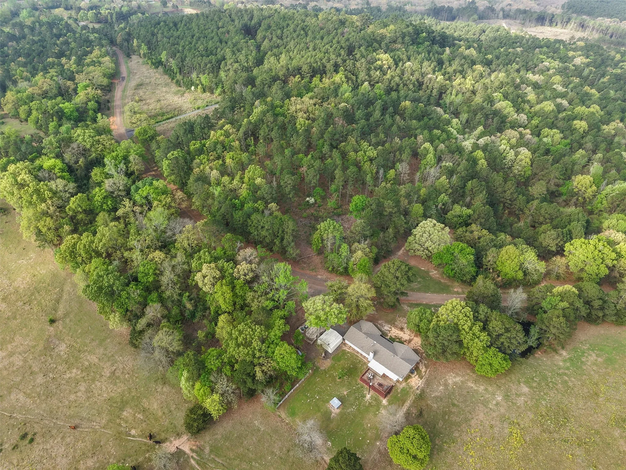 Farm For Sale in Morris County , 571 County Road, Daingerfield, Texas 75638, 3 Bedroom, 3 Bathroom, Garage spaces, 2,378 Sqft, built in 1979, Preowned, mls#21257348, Real Estate Agent in Daingerfield, Homes For Sale in Morris county, Homes For Sale in Daingerfield, Realtor in Daingerfield Texas, Real Estate Brokerage Independent Realty Texas, Luminita Cordes Realtor