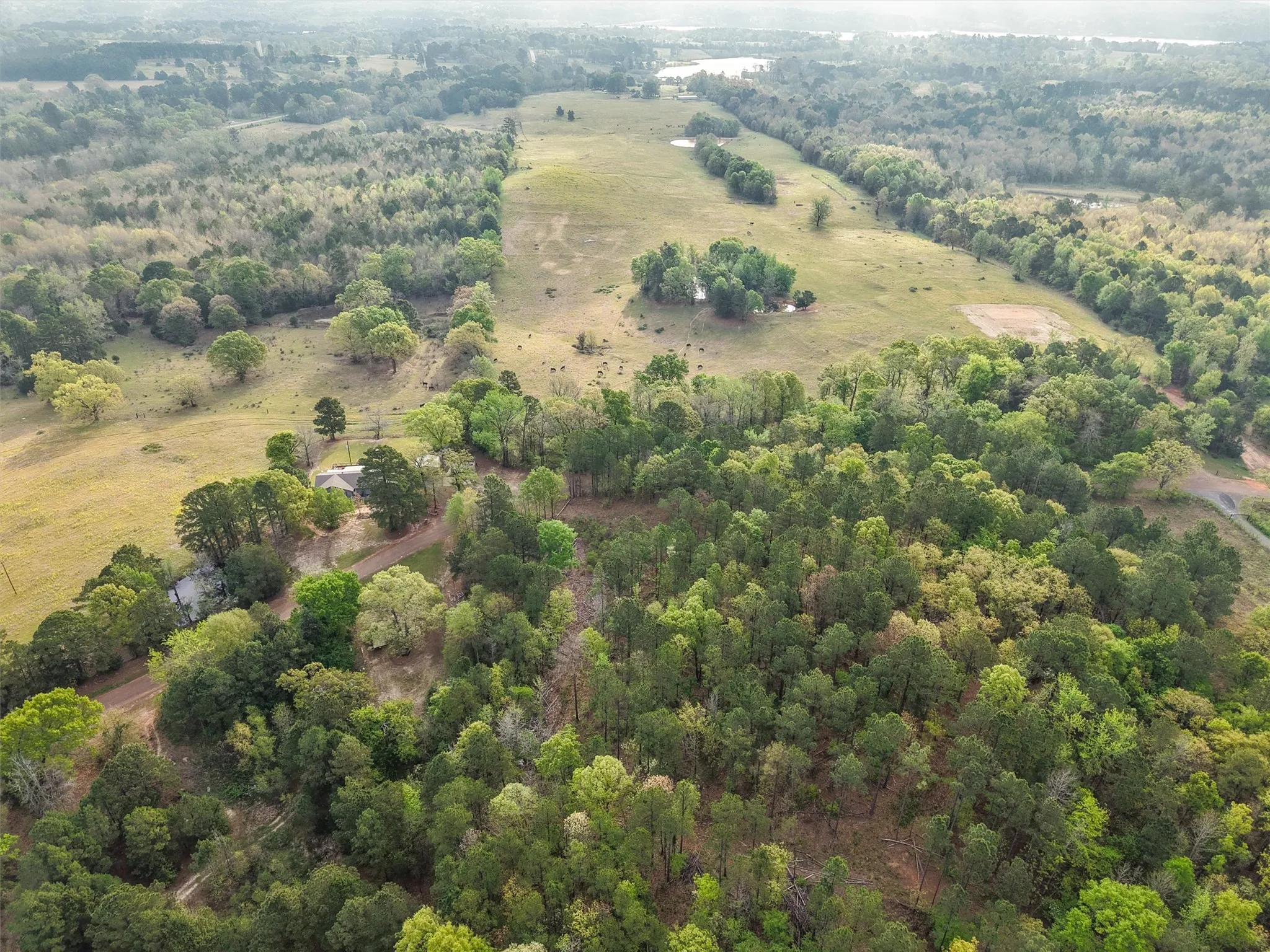 Farm For Sale in Morris County , 571 County Road, Daingerfield, Texas 75638, 3 Bedroom, 3 Bathroom, Garage spaces, 2,378 Sqft, built in 1979, Preowned, mls#21257348, Real Estate Agent in Daingerfield, Homes For Sale in Morris county, Homes For Sale in Daingerfield, Realtor in Daingerfield Texas, Real Estate Brokerage Independent Realty Texas, Luminita Cordes Realtor