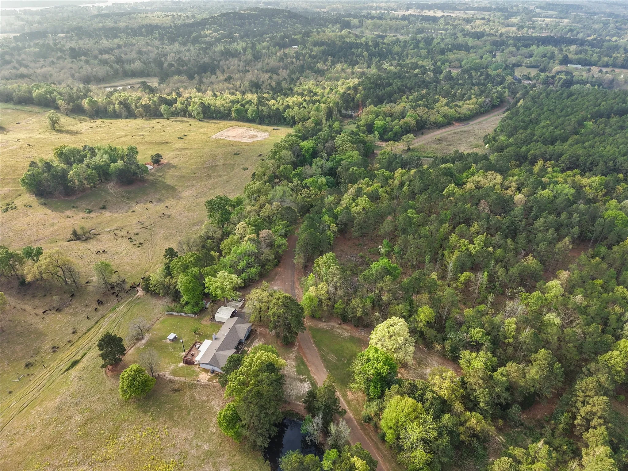 Farm For Sale in Morris County , 571 County Road, Daingerfield, Texas 75638, 3 Bedroom, 3 Bathroom, Garage spaces, 2,378 Sqft, built in 1979, Preowned, mls#21257348, Real Estate Agent in Daingerfield, Homes For Sale in Morris county, Homes For Sale in Daingerfield, Realtor in Daingerfield Texas, Real Estate Brokerage Independent Realty Texas, Luminita Cordes Realtor