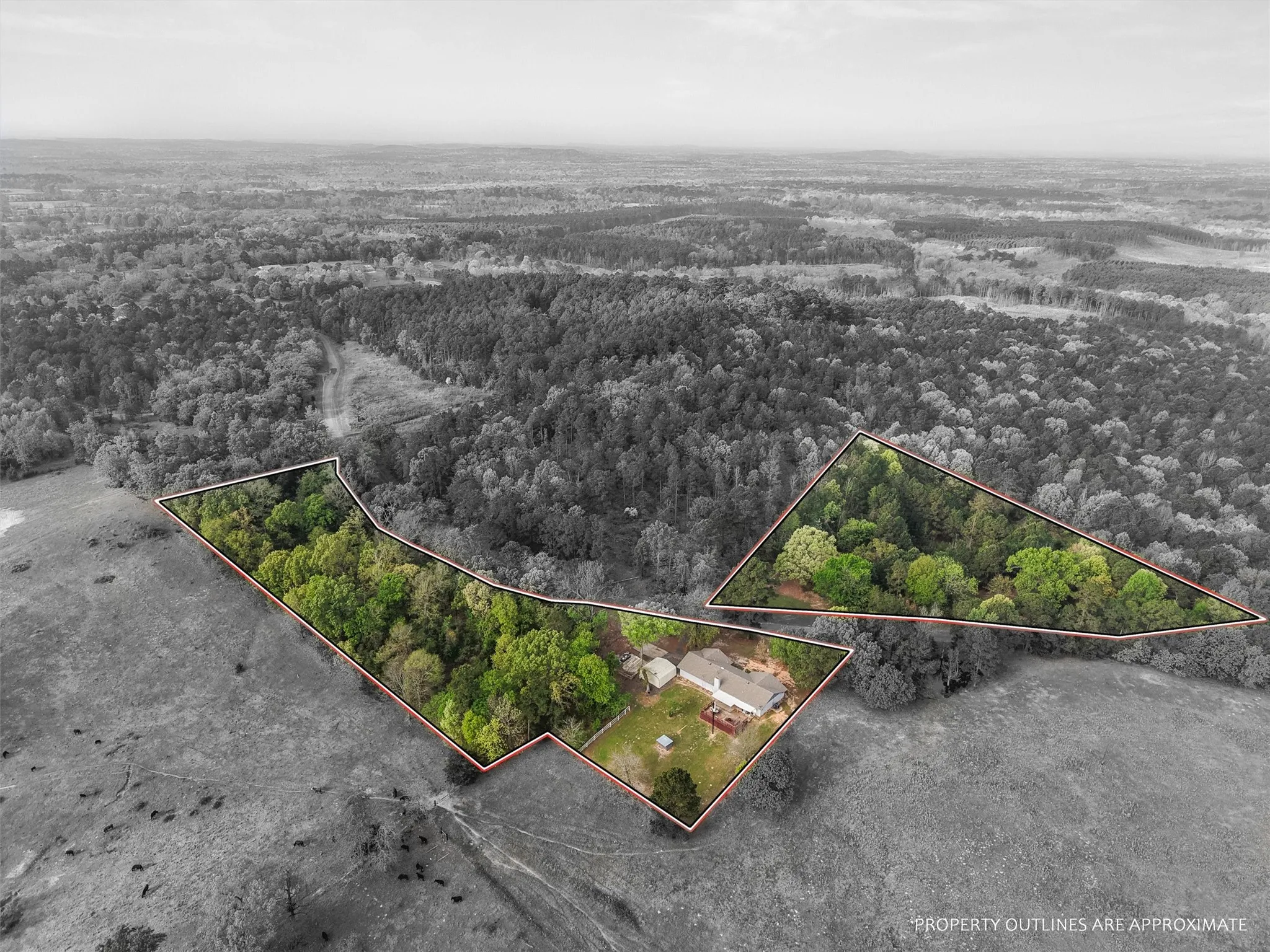 Farm For Sale in Morris County , 571 County Road, Daingerfield, Texas 75638, 3 Bedroom, 3 Bathroom, Garage spaces, 2,378 Sqft, built in 1979, Preowned, mls#21257348, Real Estate Agent in Daingerfield, Homes For Sale in Morris county, Homes For Sale in Daingerfield, Realtor in Daingerfield Texas, Real Estate Brokerage Independent Realty Texas, Luminita Cordes Realtor