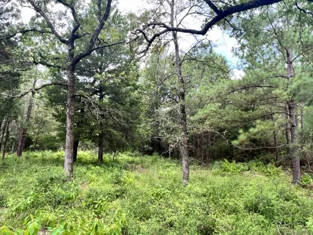 Unimproved Land For Sale in Freestone County , Lot 33 High View Dr E, Fairfield, Texas 75840, 0, 0, Garage spaces, 0 Sqft, built in 0, Price $274,990, mls#21257372, Real Estate Agent in Fairfield, Homes For Sale in Freestone county, Homes For Sale in Fairfield, Realtor in Fairfield Texas, Real Estate Brokerage Independent Realty Texas, Luminita Cordes Realtor