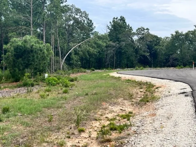 Unimproved Land For Sale in Freestone County , Lot 33 High View Dr E, Fairfield, Texas 75840, 0, 0, Garage spaces, 0 Sqft, built in 0, Price $274,990, mls#21257372, Real Estate Agent in Fairfield, Homes For Sale in Freestone county, Homes For Sale in Fairfield, Realtor in Fairfield Texas, Real Estate Brokerage Independent Realty Texas, Luminita Cordes Realtor