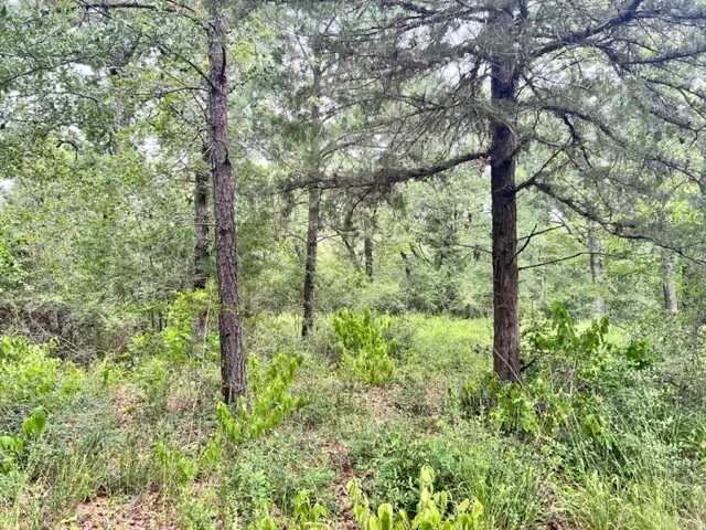 Unimproved Land For Sale in Freestone County , Lot 33 High View Dr E, Fairfield, Texas 75840, 0, 0, Garage spaces, 0 Sqft, built in 0, Price $274,990, mls#21257372, Real Estate Agent in Fairfield, Homes For Sale in Freestone county, Homes For Sale in Fairfield, Realtor in Fairfield Texas, Real Estate Brokerage Independent Realty Texas, Luminita Cordes Realtor