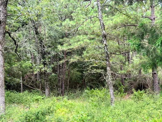 Unimproved Land For Sale in Freestone County , Lot 33 High View Dr E, Fairfield, Texas 75840, 0, 0, Garage spaces, 0 Sqft, built in 0, Price $274,990, mls#21257372, Real Estate Agent in Fairfield, Homes For Sale in Freestone county, Homes For Sale in Fairfield, Realtor in Fairfield Texas, Real Estate Brokerage Independent Realty Texas, Luminita Cordes Realtor