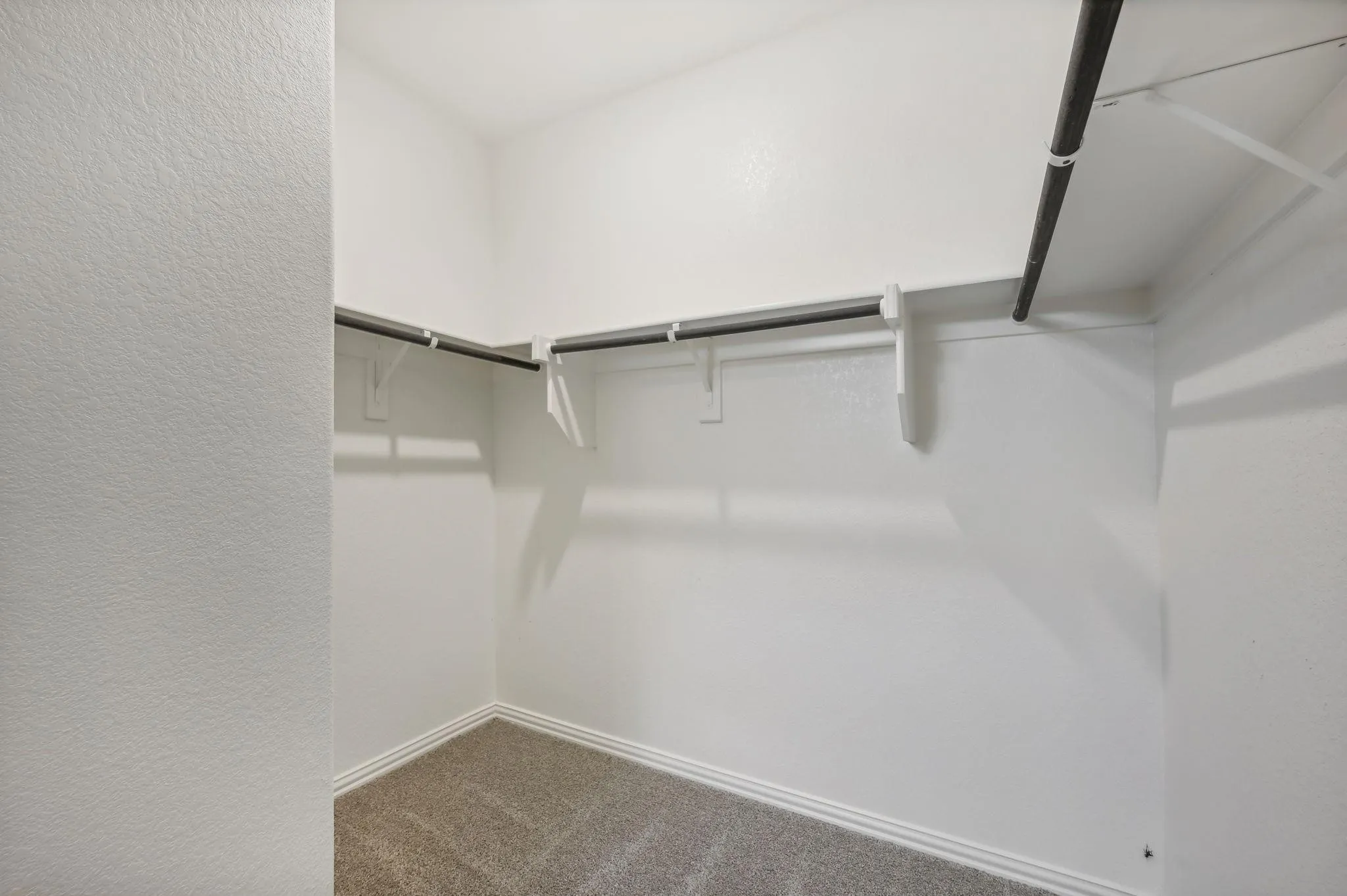 Single Family Residence For Rent in Collin County , 519 Ridgedale Drive, Princeton, Texas 75071, 3 Bedroom, 2 Bathroom, 2 Garage spaces, 1,318 Sqft, built in 2025, mls#21257138, Real Estate Agent in Princeton, Homes For Rent in Collin county, Homes For Rent in Princeton, Realtor in Princeton Texas, Real Estate Brokerage Independent Realty Texas, Luminita Cordes Realtor