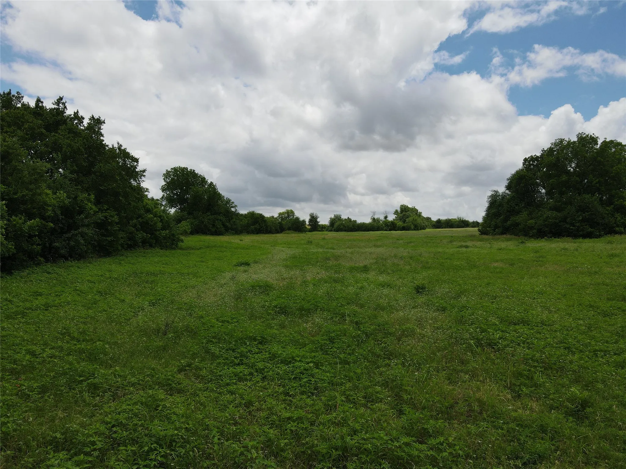 Expansive green field with natural vegetation