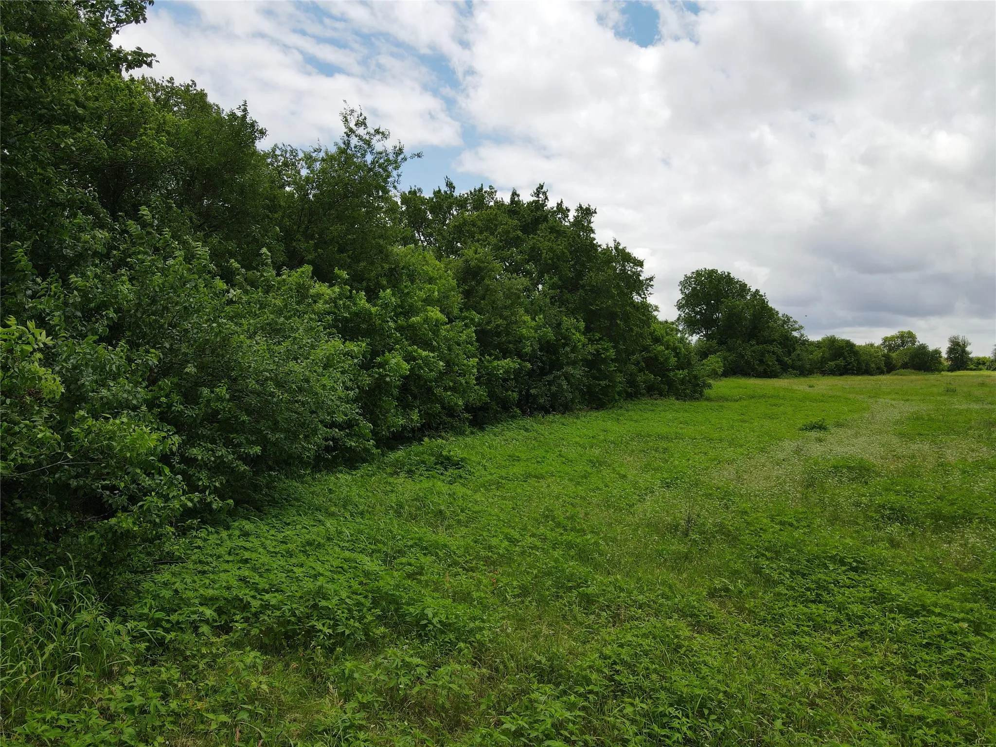 Expansive open field featuring lush green foliage and mature trees along the perimeter