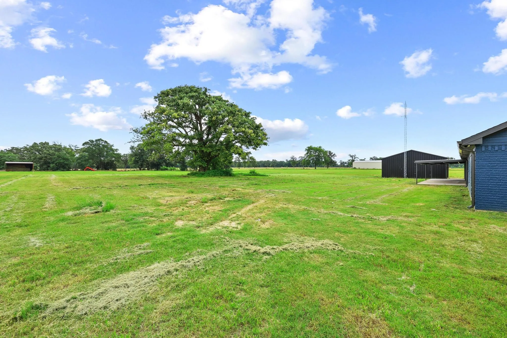 Expansive green acreage with mature trees