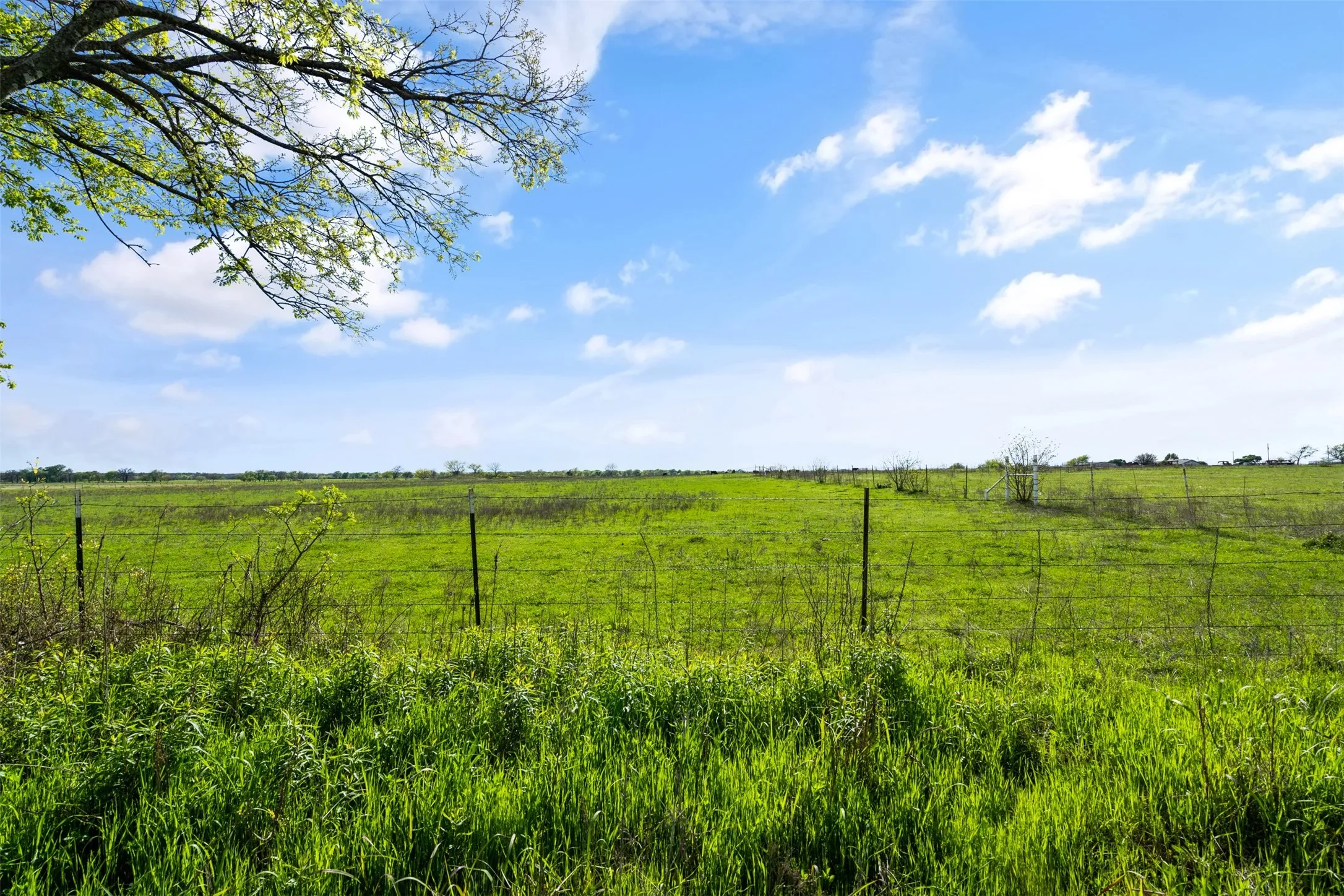 Unimproved Land For Sale in Johnson County , 5560 County Road 1202, Cleburne, Texas 76031, 0, 0, Garage spaces, 0 Sqft, built in 0, Price $2,200,000, mls#21257368, Real Estate Agent in Cleburne, Homes For Sale in Johnson county, Homes For Sale in Cleburne, Realtor in Cleburne Texas, Real Estate Brokerage Independent Realty Texas, Luminita Cordes Realtor