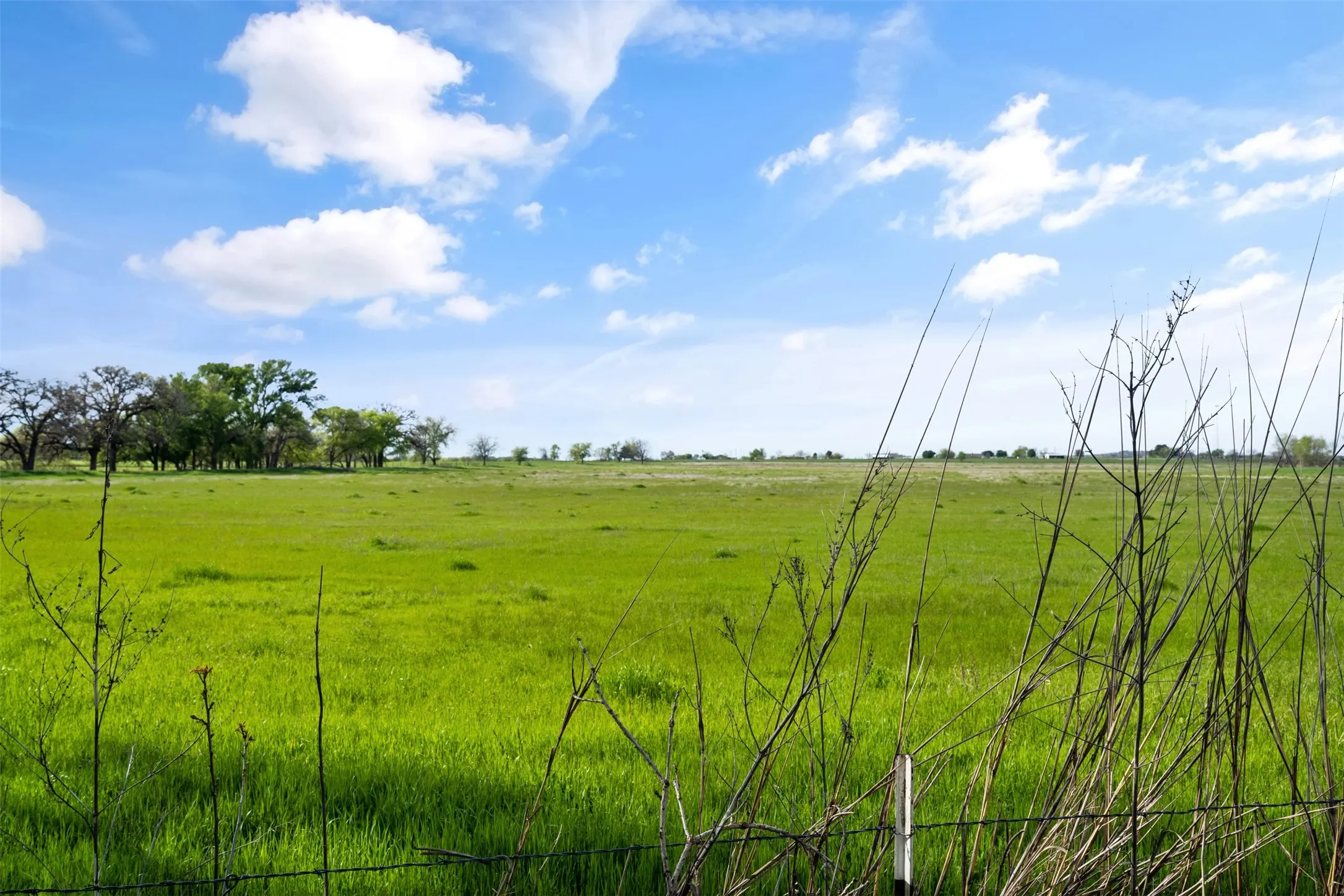Unimproved Land For Sale in Johnson County , 5560 County Road 1202, Cleburne, Texas 76031, 0, 0, Garage spaces, 0 Sqft, built in 0, Price $2,200,000, mls#21257368, Real Estate Agent in Cleburne, Homes For Sale in Johnson county, Homes For Sale in Cleburne, Realtor in Cleburne Texas, Real Estate Brokerage Independent Realty Texas, Luminita Cordes Realtor