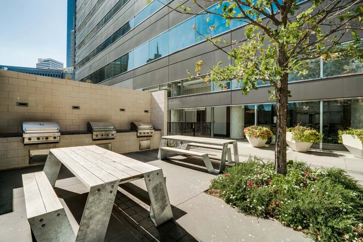 Apartment For Rent in Dallas County , 350 N St Paul Street 3002, Dallas, Texas 75201, 1 Bedroom, 1 Bathroom, Garage spaces, 862 Sqft, built in 1979, Preowned, Price $2,009, mls#21257411, Real Estate Agent in Dallas, Homes For Rent in Dallas county, Homes For Rent in Dallas, Realtor in Dallas Texas, Real Estate Brokerage Independent Realty Texas, Luminita Cordes Realtor