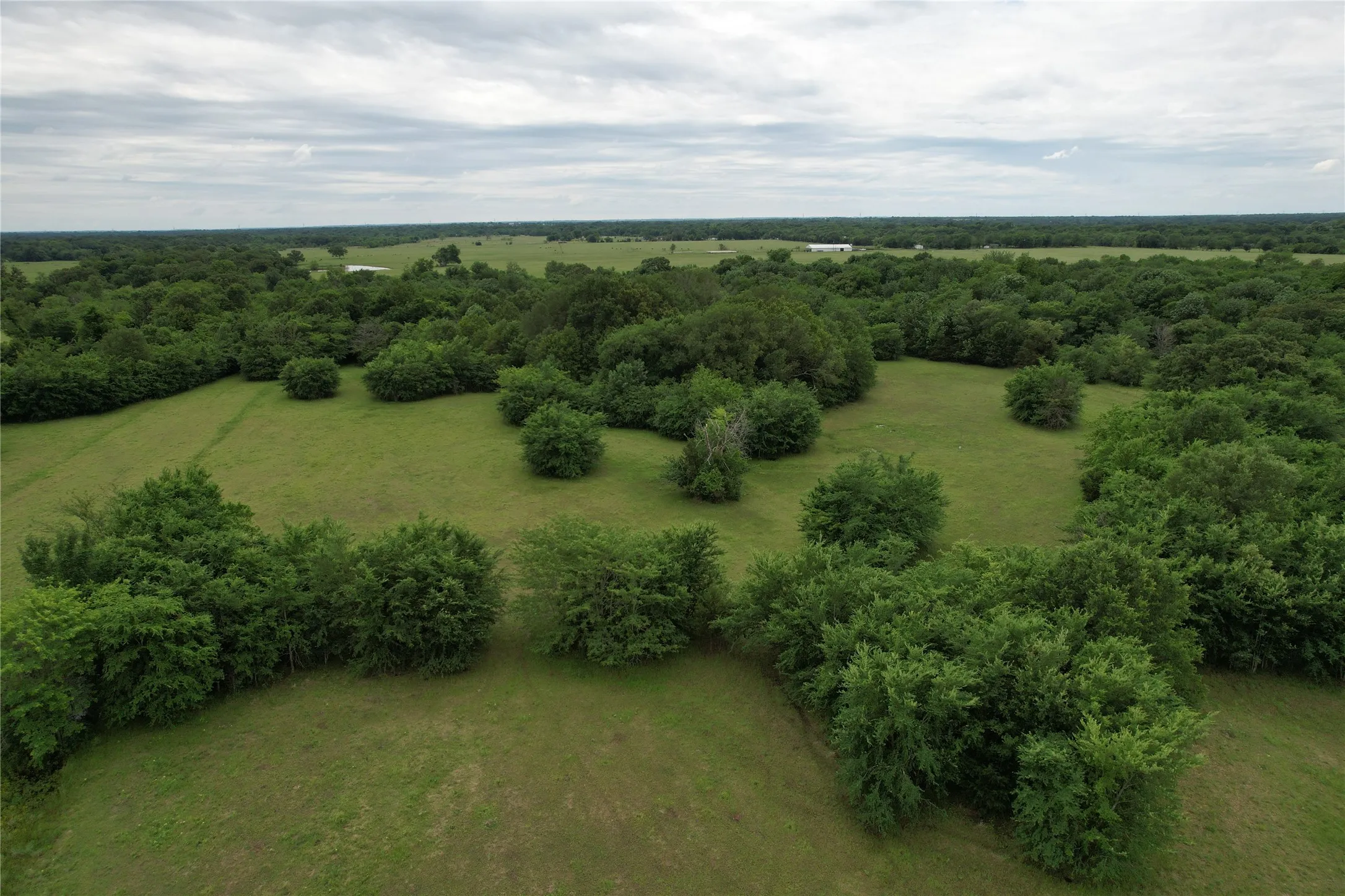 Unimproved Land For Sale in Hopkins County , 829 Farm Road 71 W, Sulphur Springs, Texas 75482, 0, 0, Garage spaces, 0 Sqft, built in 0, Price $597,450, mls#21257395, Real Estate Agent in Sulphur Springs, Homes For Sale in Hopkins county, Homes For Sale in Sulphur Springs, Realtor in Sulphur Springs Texas, Real Estate Brokerage Independent Realty Texas, Luminita Cordes Realtor
