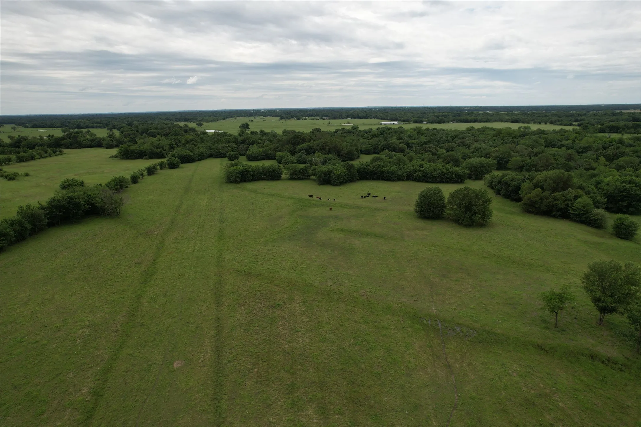 Unimproved Land For Sale in Hopkins County , 829 Farm Road 71 W, Sulphur Springs, Texas 75482, 0, 0, Garage spaces, 0 Sqft, built in 0, Price $597,450, mls#21257395, Real Estate Agent in Sulphur Springs, Homes For Sale in Hopkins county, Homes For Sale in Sulphur Springs, Realtor in Sulphur Springs Texas, Real Estate Brokerage Independent Realty Texas, Luminita Cordes Realtor