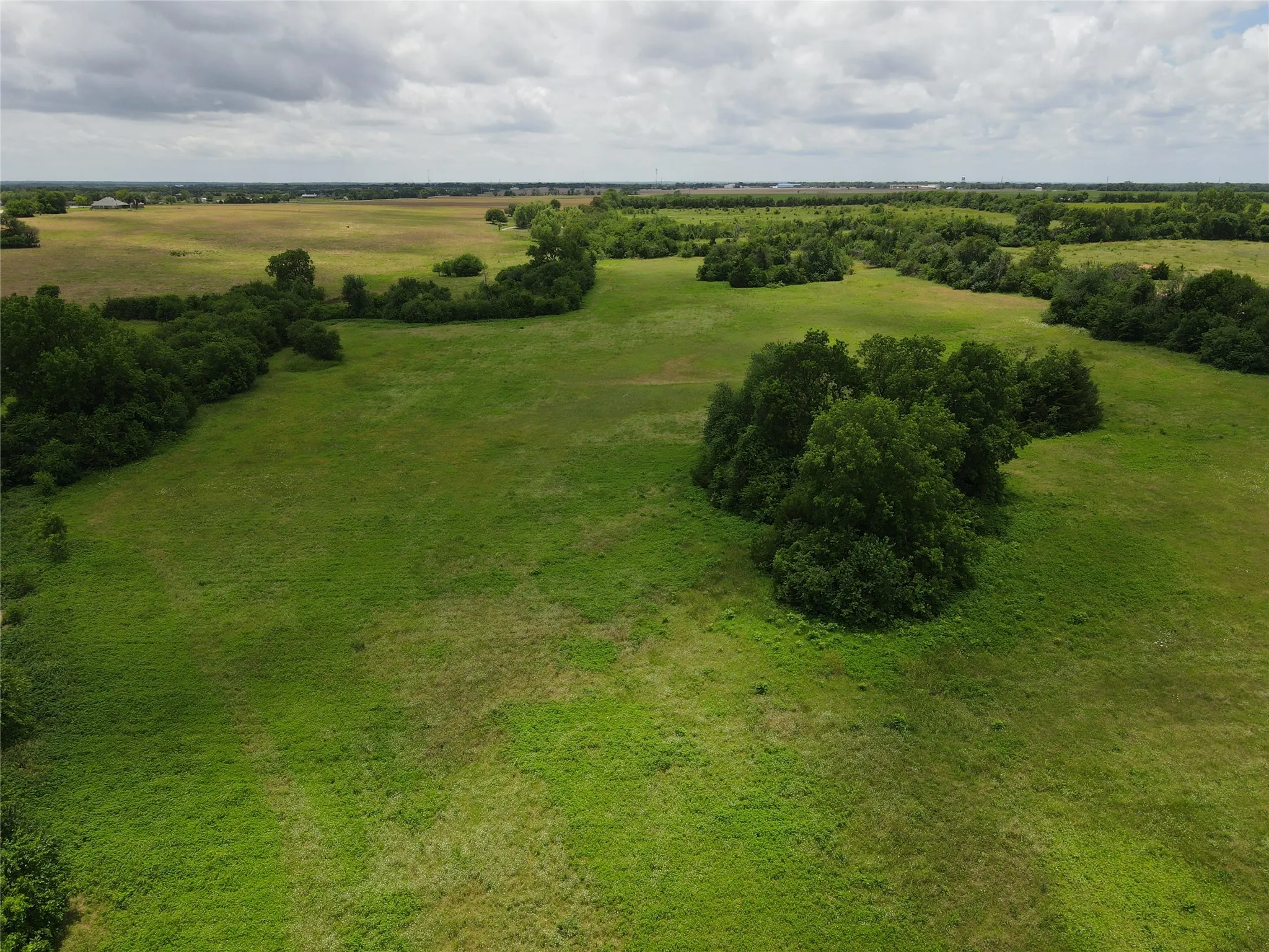 Expansive green acreage featuring scattered tree lines and natural growth