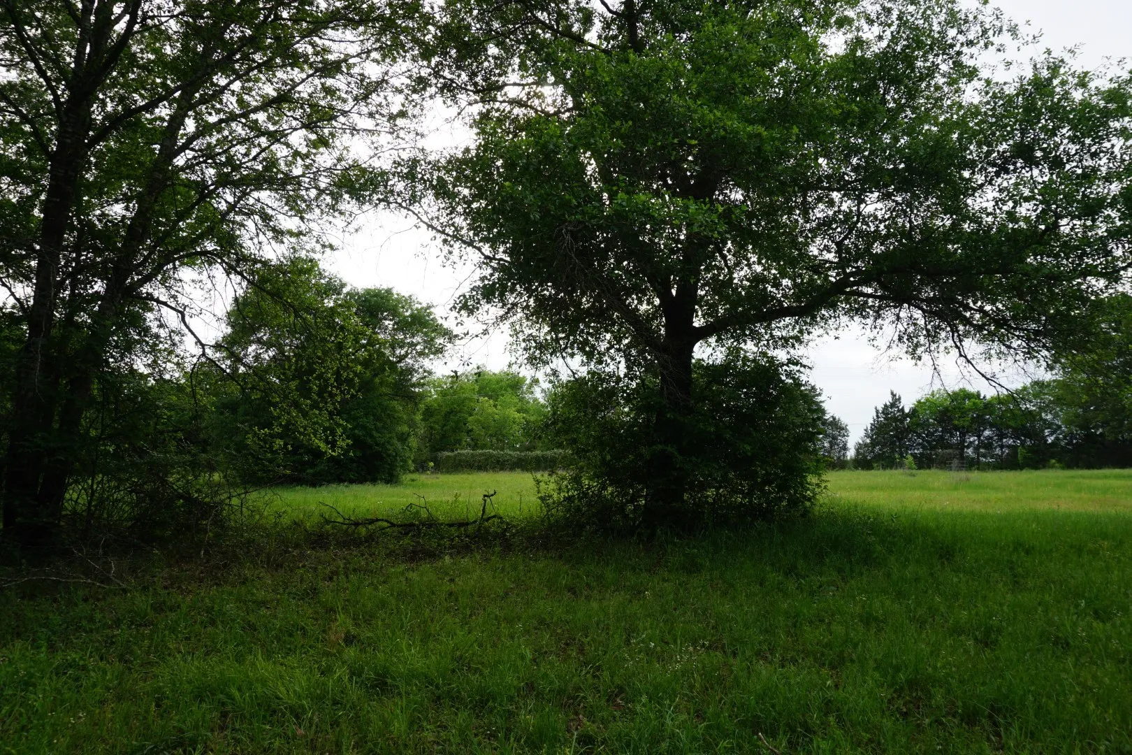 Improved Land For Sale in Henderson County , TBD County Road 1200, Malakoff, Texas 75148, 0, 0, Garage spaces, 0 Sqft, built in 2001, mls#21257464, Real Estate Agent in Malakoff, Homes For Sale in Henderson county, Homes For Sale in Malakoff, Realtor in Malakoff Texas, Real Estate Brokerage Independent Realty Texas, Luminita Cordes Realtor