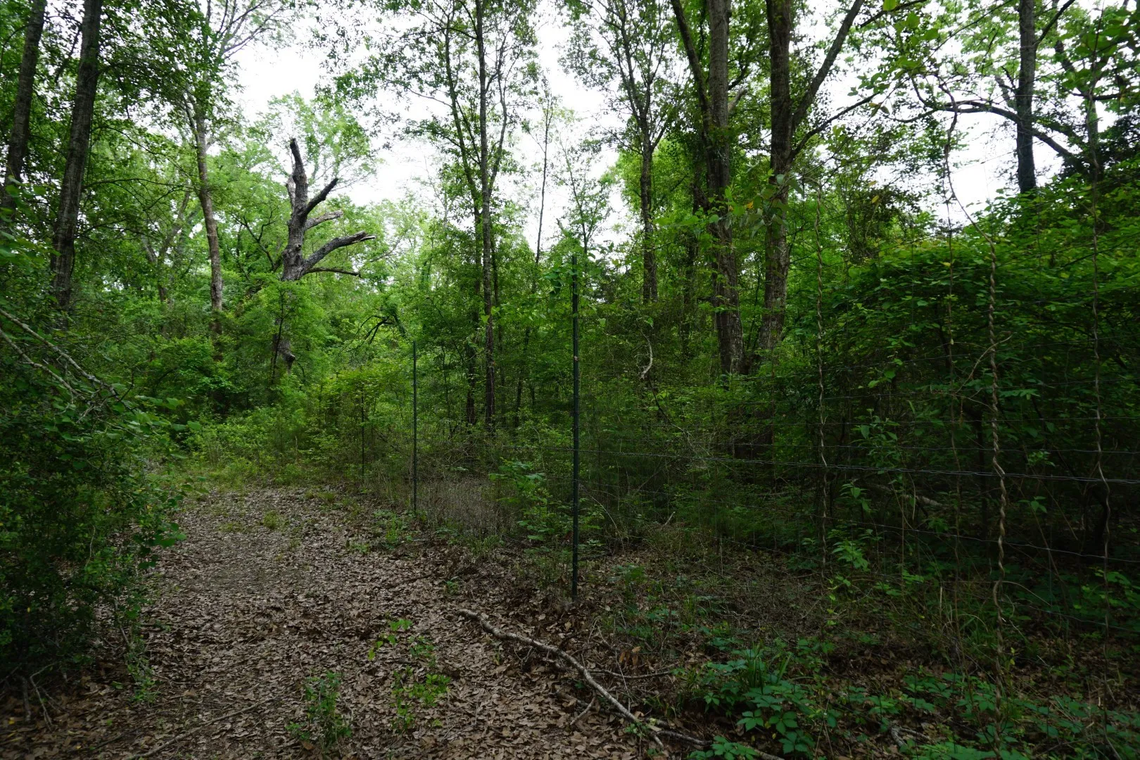 Improved Land For Sale in Henderson County , TBD County Road 1200, Malakoff, Texas 75148, 0, 0, Garage spaces, 0 Sqft, built in 2001, mls#21257464, Real Estate Agent in Malakoff, Homes For Sale in Henderson county, Homes For Sale in Malakoff, Realtor in Malakoff Texas, Real Estate Brokerage Independent Realty Texas, Luminita Cordes Realtor