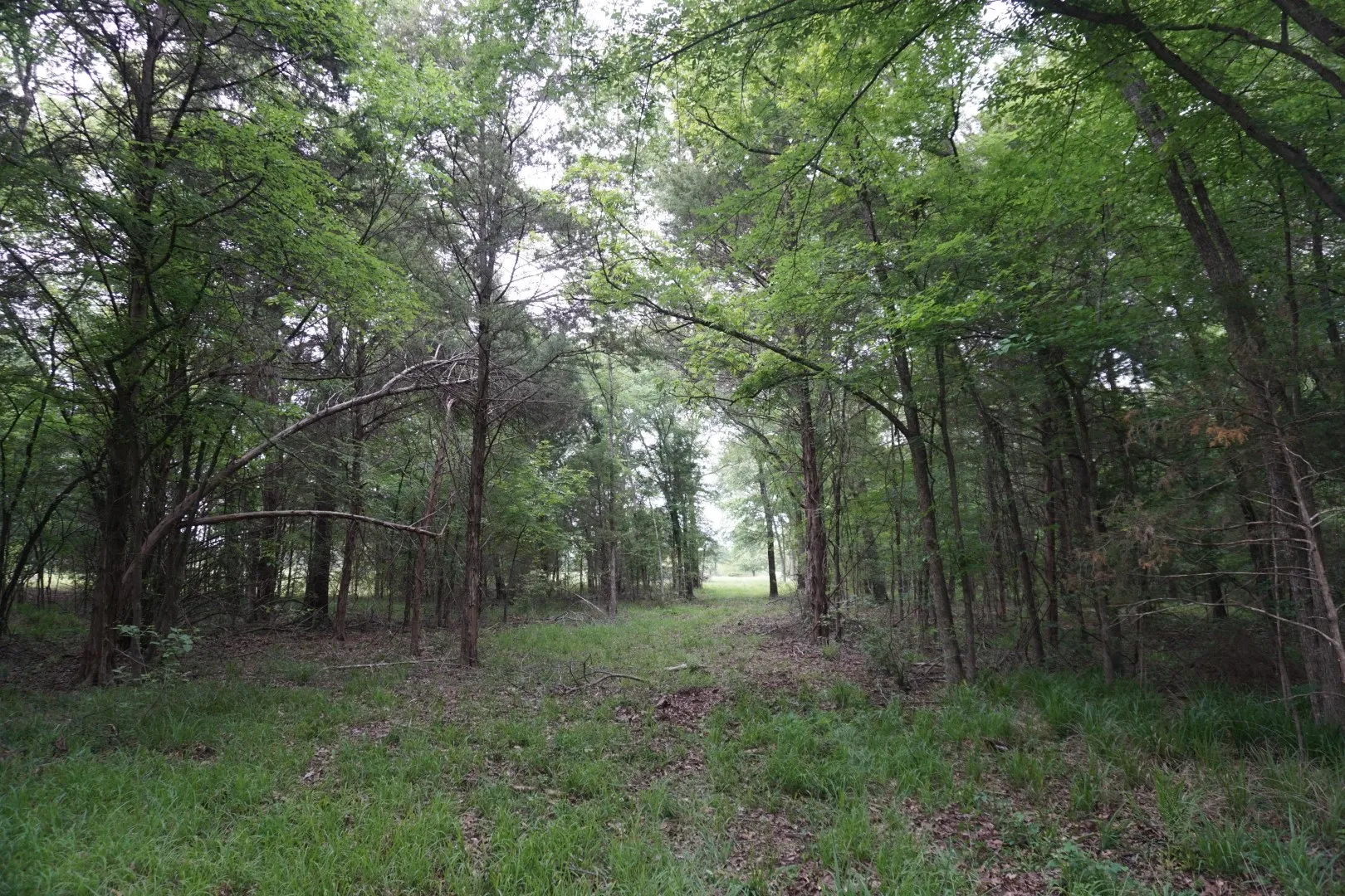Improved Land For Sale in Henderson County , TBD County Road 1200, Malakoff, Texas 75148, 0, 0, Garage spaces, 0 Sqft, built in 2001, mls#21257464, Real Estate Agent in Malakoff, Homes For Sale in Henderson county, Homes For Sale in Malakoff, Realtor in Malakoff Texas, Real Estate Brokerage Independent Realty Texas, Luminita Cordes Realtor