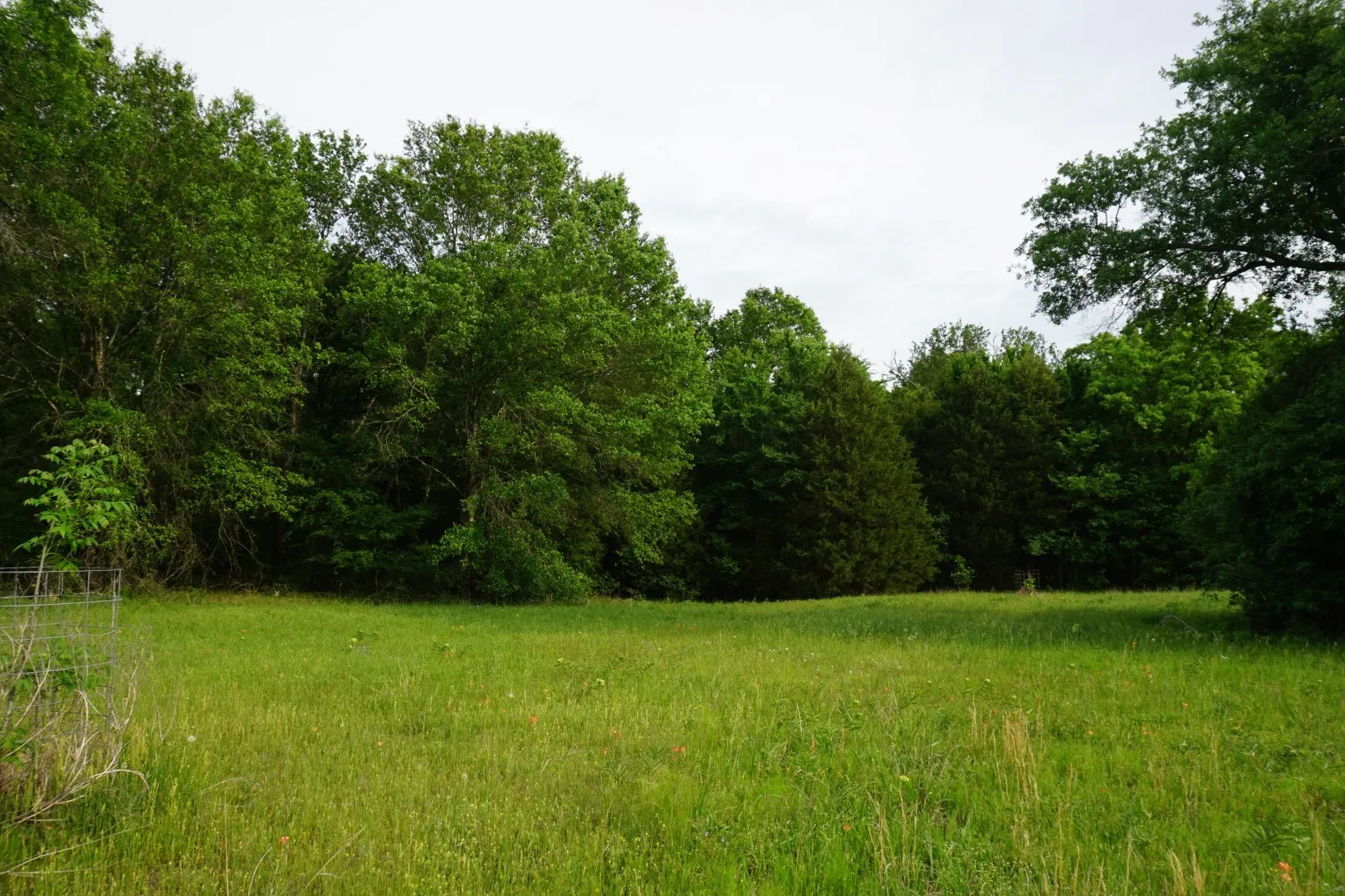 Improved Land For Sale in Henderson County , TBD County Road 1200, Malakoff, Texas 75148, 0, 0, Garage spaces, 0 Sqft, built in 2001, mls#21257464, Real Estate Agent in Malakoff, Homes For Sale in Henderson county, Homes For Sale in Malakoff, Realtor in Malakoff Texas, Real Estate Brokerage Independent Realty Texas, Luminita Cordes Realtor