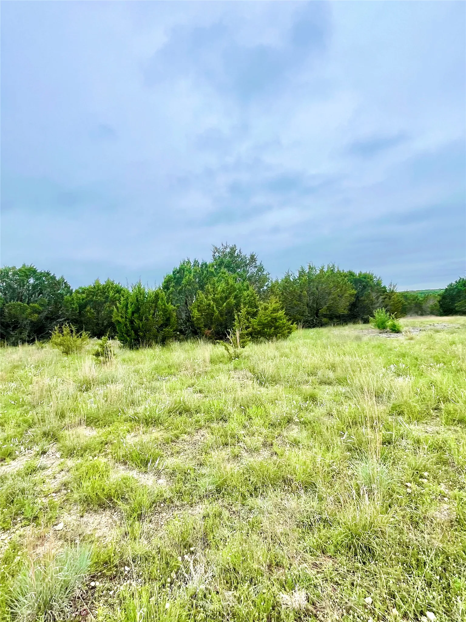 Unimproved Land For Sale in Hamilton County , TBD PR 16026, Jonesboro, Texas 76538, 0, 0, Garage spaces, 0 Sqft, built in 0, Price $97,120, mls#21257477, Real Estate Agent in Jonesboro, Homes For Sale in Hamilton county, Homes For Sale in Jonesboro, Realtor in Jonesboro Texas, Real Estate Brokerage Independent Realty Texas, Luminita Cordes Realtor