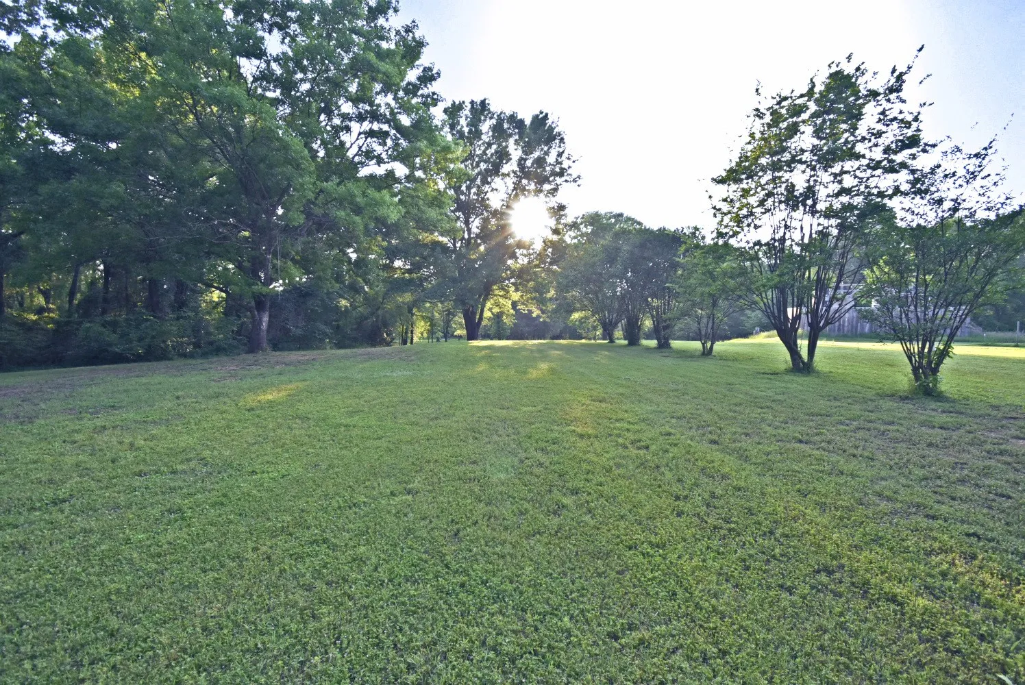 Single Family Residence For Sale in Wood County , 1489 County Road 1858, Yantis, Texas 75497, 3 Bedrooms, 2 Bathrooms, 2 Garage spaces, 2,630 Sqft, built in 0, Preowned, Price $449,000, mls#21257229, Real Estate Agent in Yantis, Homes For Sale in Wood county, Homes For Sale in Yantis, Realtor in Yantis Texas, Real Estate Brokerage Independent Realty Texas, Luminita Cordes Realtor