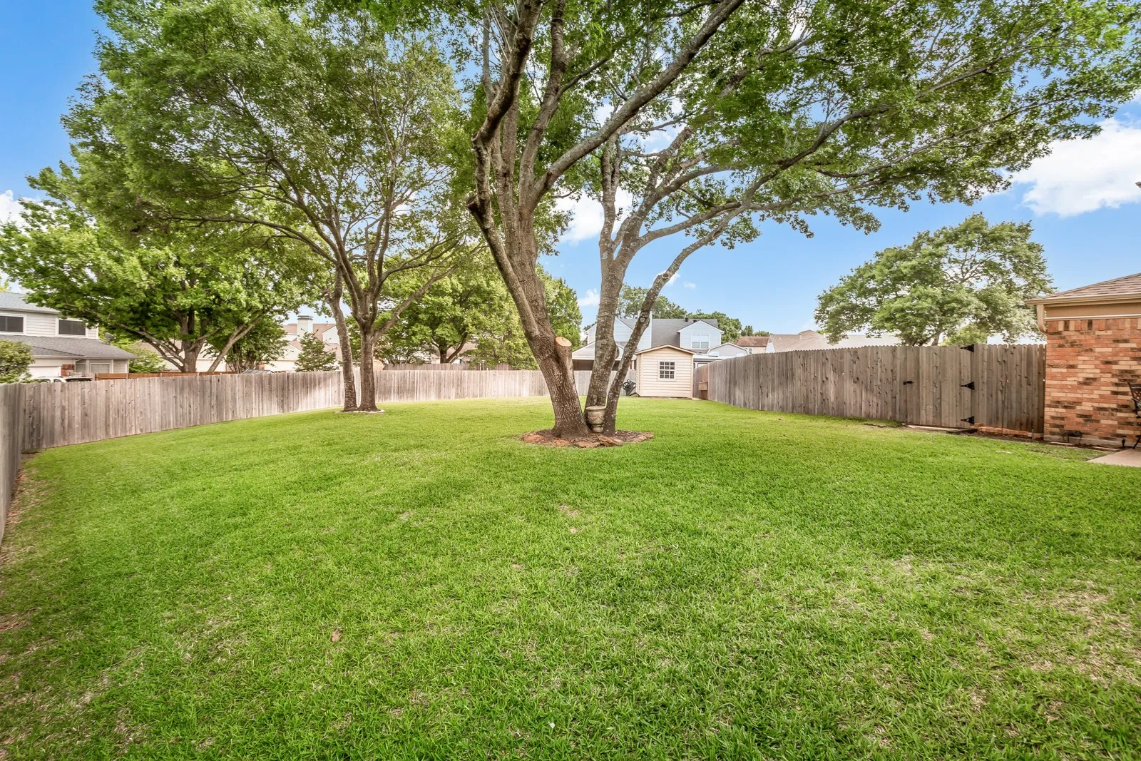 Expansive grassy yard with a mature tree providing natural shade