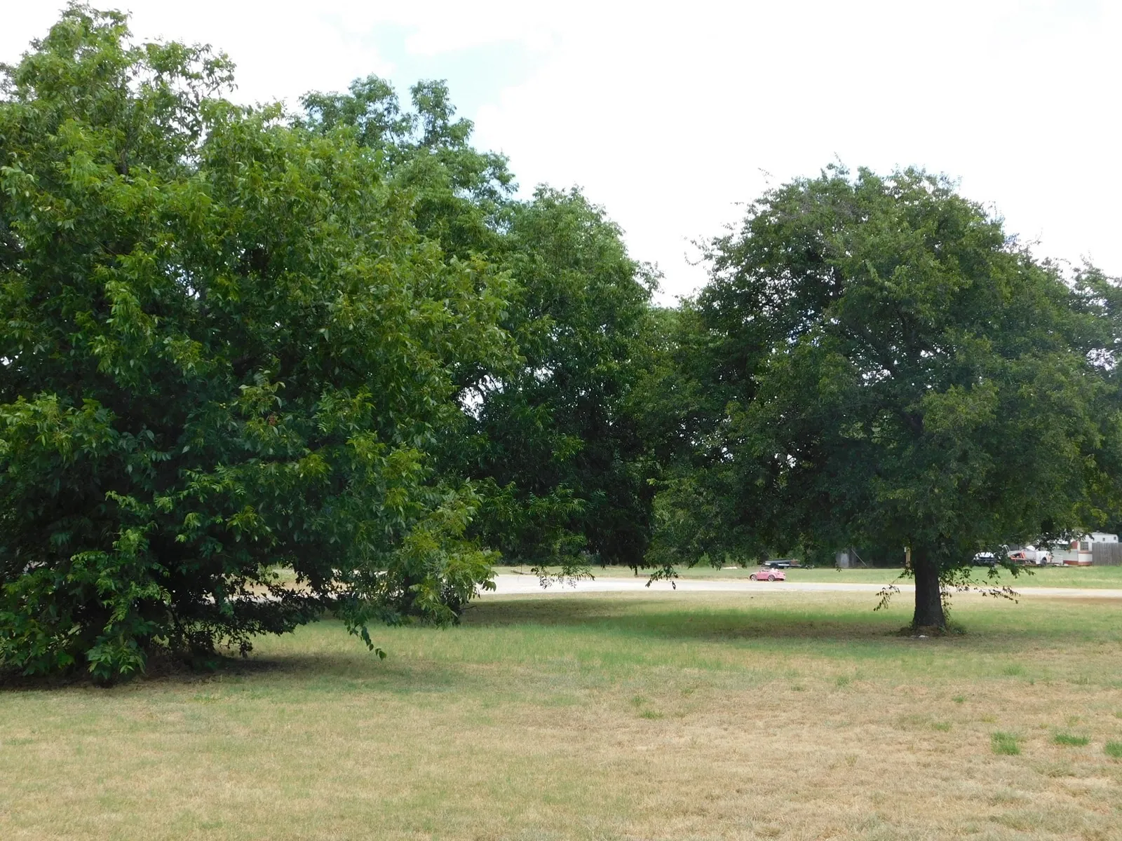 Improved Land For Sale in Eastland County , 108 S Brewster Street, Rising Star, Texas 76471, 0, 0, Garage spaces, 0 Sqft, built in 0, Price $30,000, mls#21257641, Real Estate Agent in Rising Star, Homes For Sale in Eastland county, Homes For Sale in Rising Star, Realtor in Rising Star Texas, Real Estate Brokerage Independent Realty Texas, Luminita Cordes Realtor