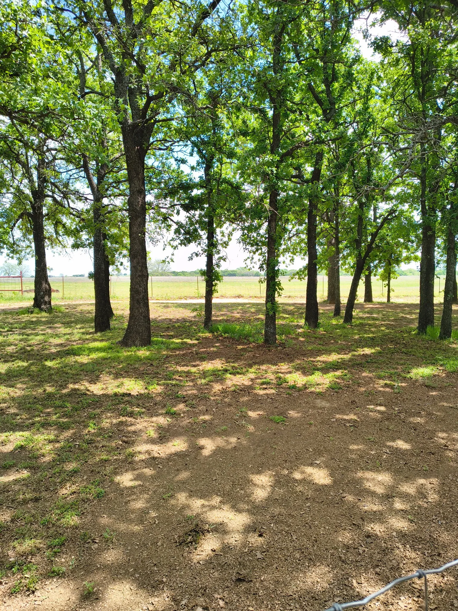 Mobile Home For Sale in Eastland County , 1625 County Road 281, Carbon, Texas 76435, 3 Bedroom, 2 Bathroom, Garage spaces, 1,216 Sqft, built in 1992, mls#21252751, Real Estate Agent in Carbon, Homes For Sale in Eastland county, Homes For Sale in Carbon, Realtor in Carbon Texas, Real Estate Brokerage Independent Realty Texas, Luminita Cordes Realtor
