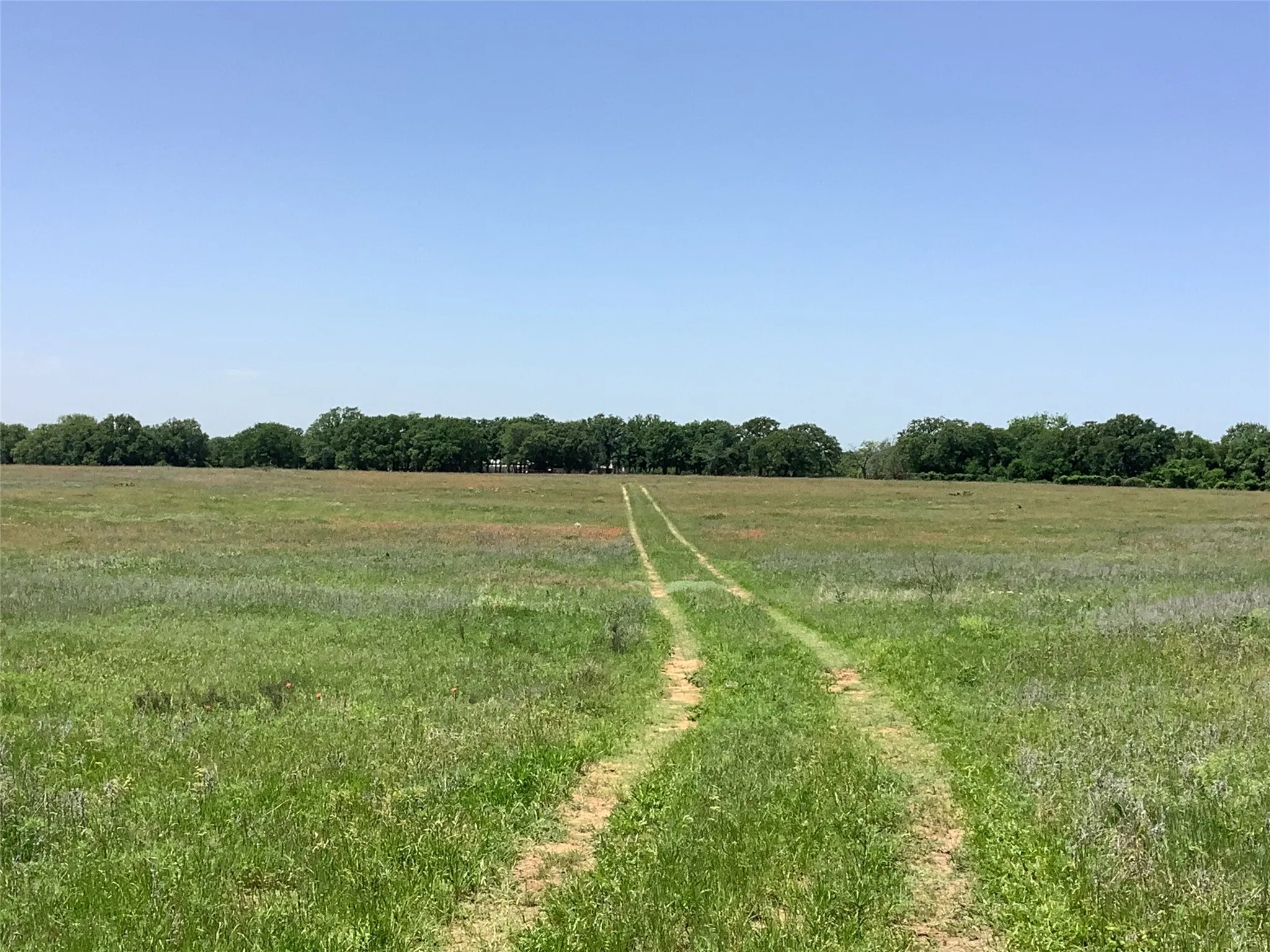 Mobile Home For Sale in Eastland County , 1625 County Road 281, Carbon, Texas 76435, 3 Bedroom, 2 Bathroom, Garage spaces, 1,216 Sqft, built in 1992, mls#21252751, Real Estate Agent in Carbon, Homes For Sale in Eastland county, Homes For Sale in Carbon, Realtor in Carbon Texas, Real Estate Brokerage Independent Realty Texas, Luminita Cordes Realtor
