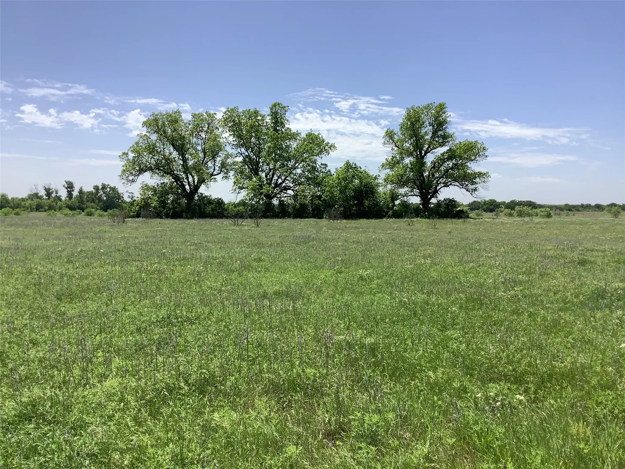 Mobile Home For Sale in Eastland County , 1625 County Road 281, Carbon, Texas 76435, 3 Bedroom, 2 Bathroom, Garage spaces, 1,216 Sqft, built in 1992, mls#21252751, Real Estate Agent in Carbon, Homes For Sale in Eastland county, Homes For Sale in Carbon, Realtor in Carbon Texas, Real Estate Brokerage Independent Realty Texas, Luminita Cordes Realtor