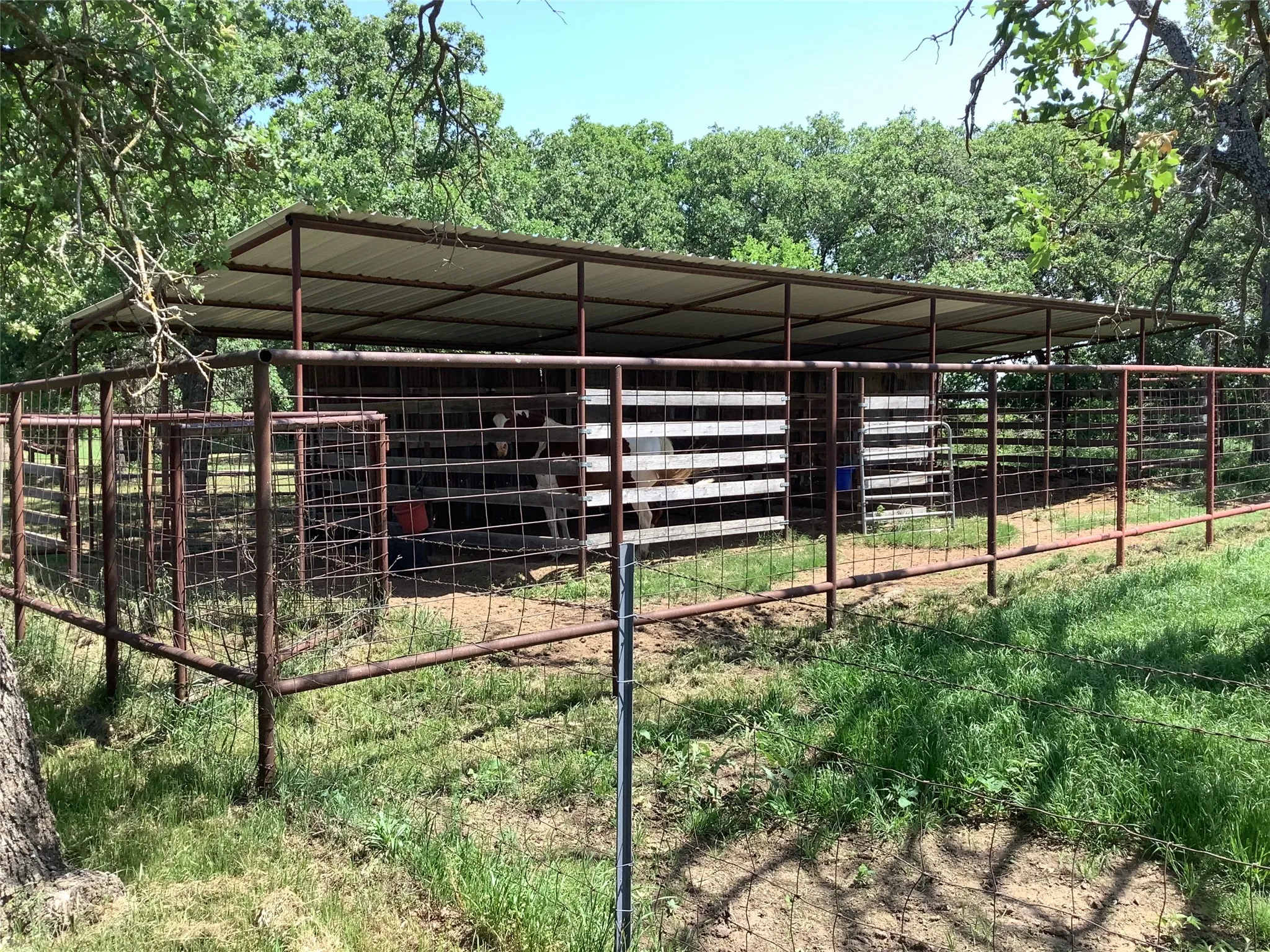 Mobile Home For Sale in Eastland County , 1625 County Road 281, Carbon, Texas 76435, 3 Bedroom, 2 Bathroom, Garage spaces, 1,216 Sqft, built in 1992, mls#21252751, Real Estate Agent in Carbon, Homes For Sale in Eastland county, Homes For Sale in Carbon, Realtor in Carbon Texas, Real Estate Brokerage Independent Realty Texas, Luminita Cordes Realtor