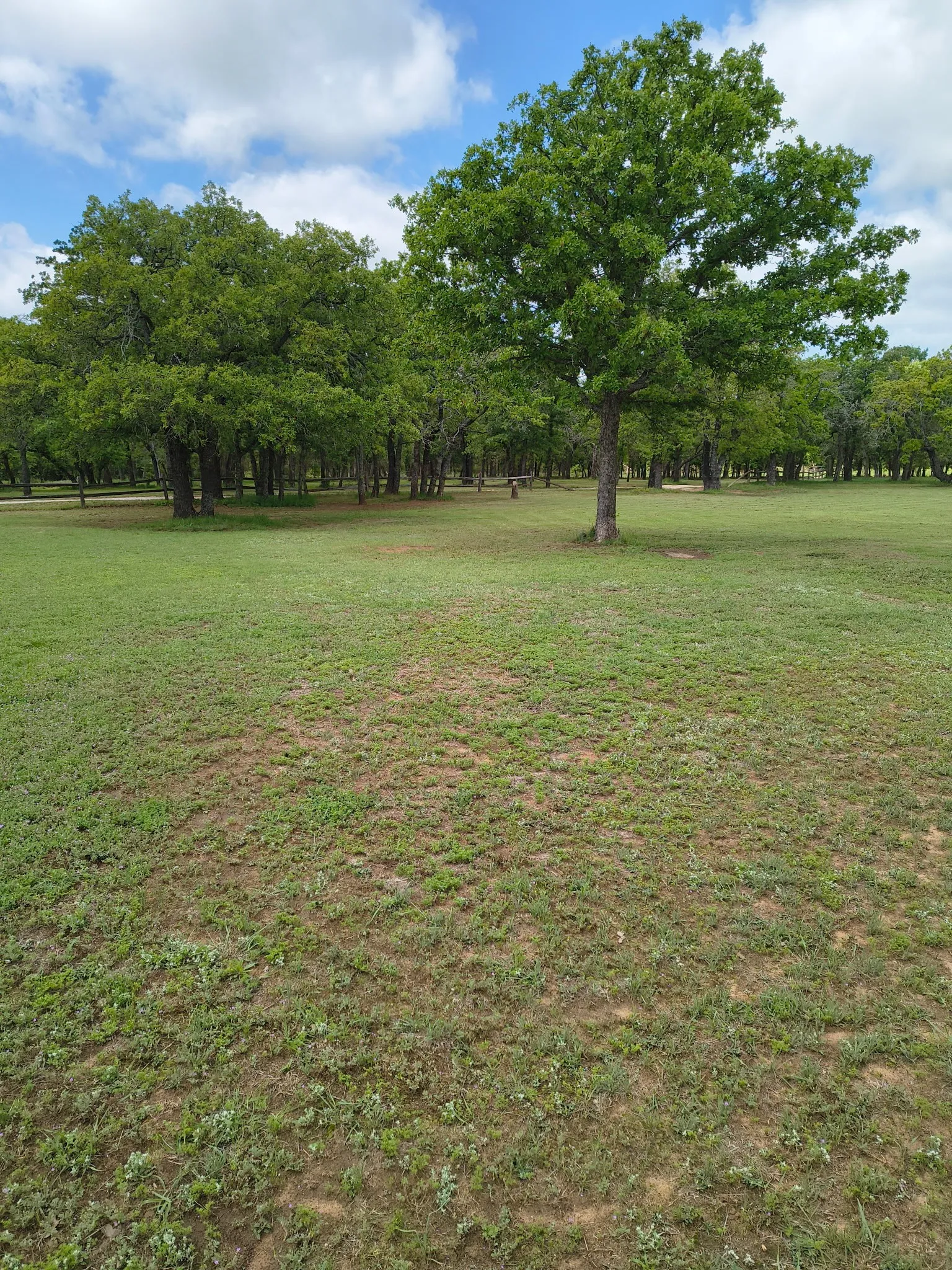 Mobile Home For Sale in Eastland County , 1625 County Road 281, Carbon, Texas 76435, 3 Bedroom, 2 Bathroom, Garage spaces, 1,216 Sqft, built in 1992, mls#21252751, Real Estate Agent in Carbon, Homes For Sale in Eastland county, Homes For Sale in Carbon, Realtor in Carbon Texas, Real Estate Brokerage Independent Realty Texas, Luminita Cordes Realtor