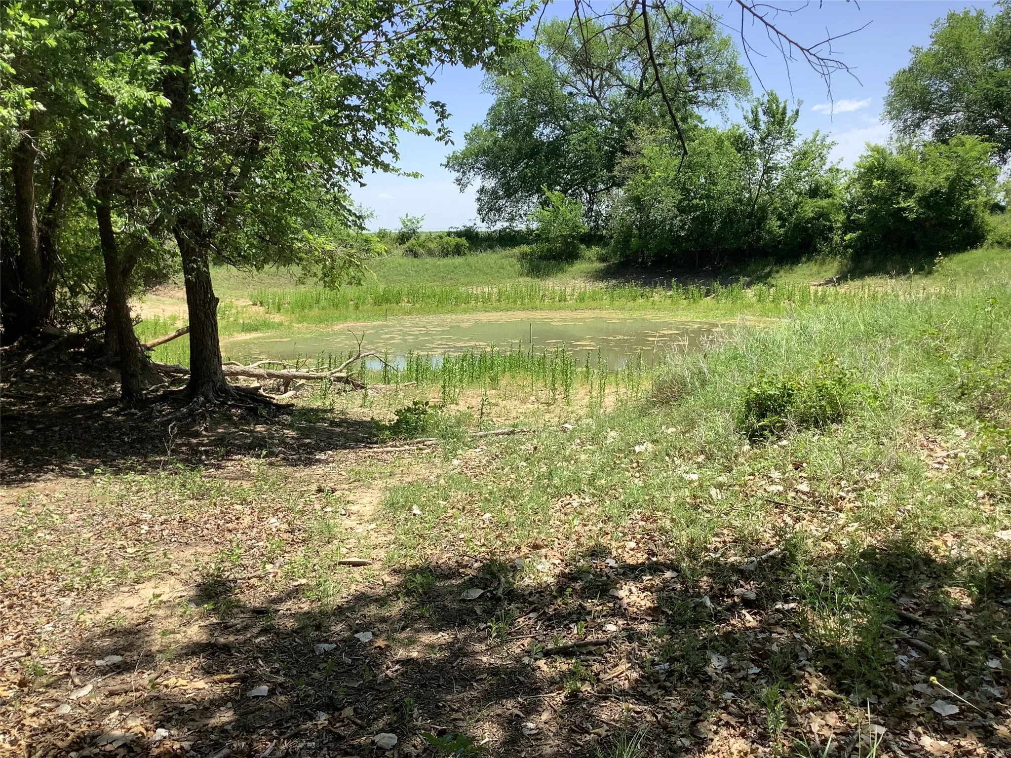 Mobile Home For Sale in Eastland County , 1625 County Road 281, Carbon, Texas 76435, 3 Bedroom, 2 Bathroom, Garage spaces, 1,216 Sqft, built in 1992, mls#21252751, Real Estate Agent in Carbon, Homes For Sale in Eastland county, Homes For Sale in Carbon, Realtor in Carbon Texas, Real Estate Brokerage Independent Realty Texas, Luminita Cordes Realtor