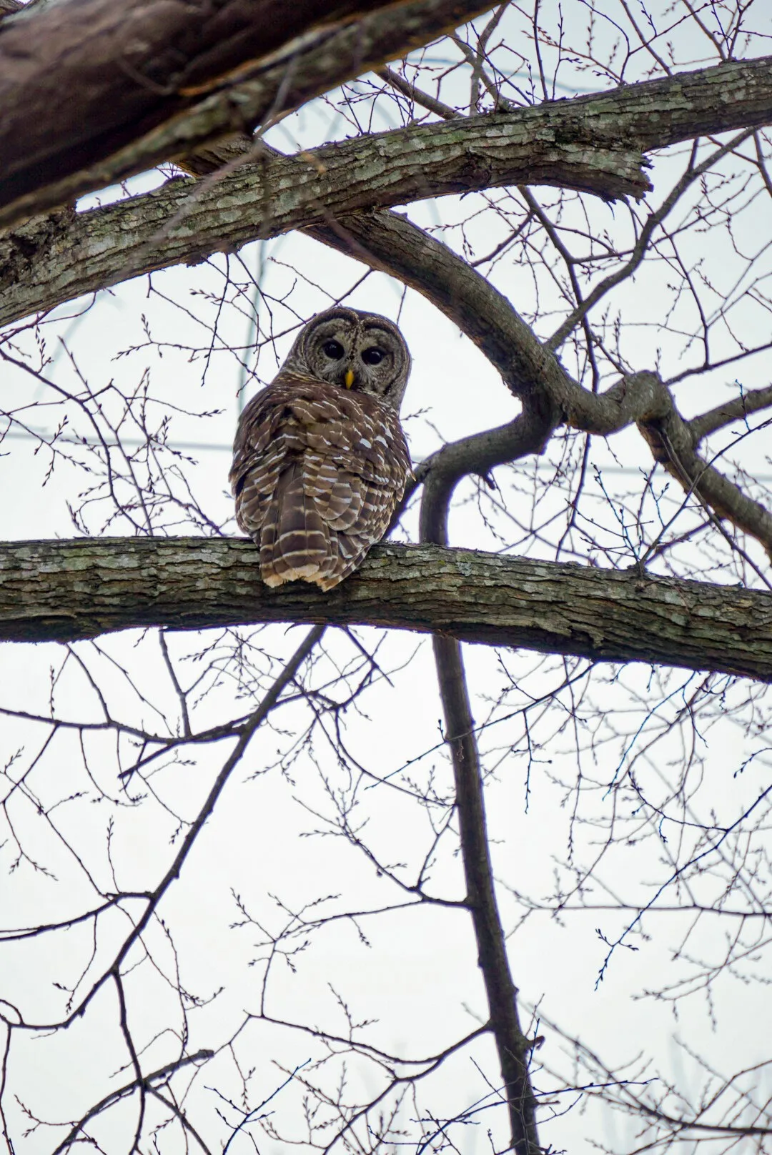 Beautiful wildlife!