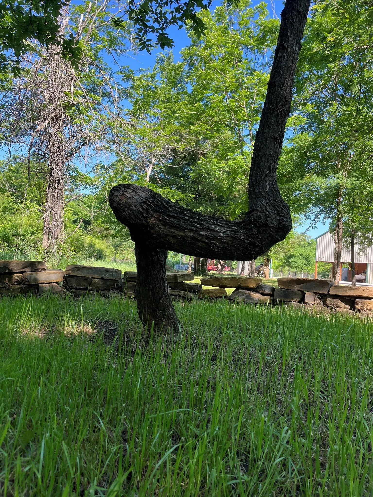 Single Family Residence For Sale in Cooke County , 9439 County Road 103, Whitesboro, Texas 76273, 2 Bedroom, 2 Bathroom, Garage spaces, 1,680 Sqft, built in 2023, Price $820,000, mls#21254692, Real Estate Agent in Whitesboro, Homes For Sale in Cooke county, Homes For Sale in Whitesboro, Realtor in Whitesboro Texas, Real Estate Brokerage Independent Realty Texas, Luminita Cordes Realtor